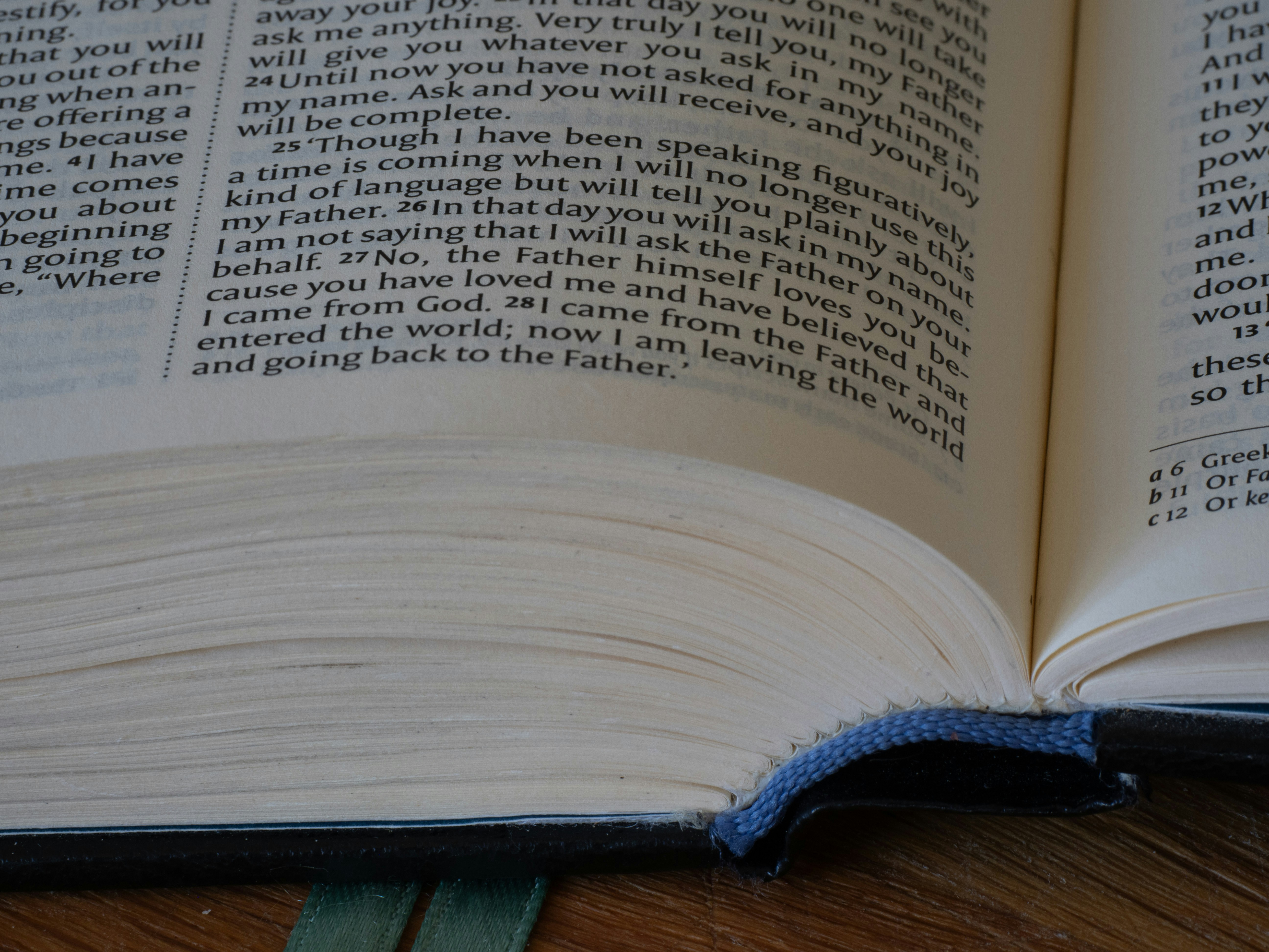 Photo by brett_jordan