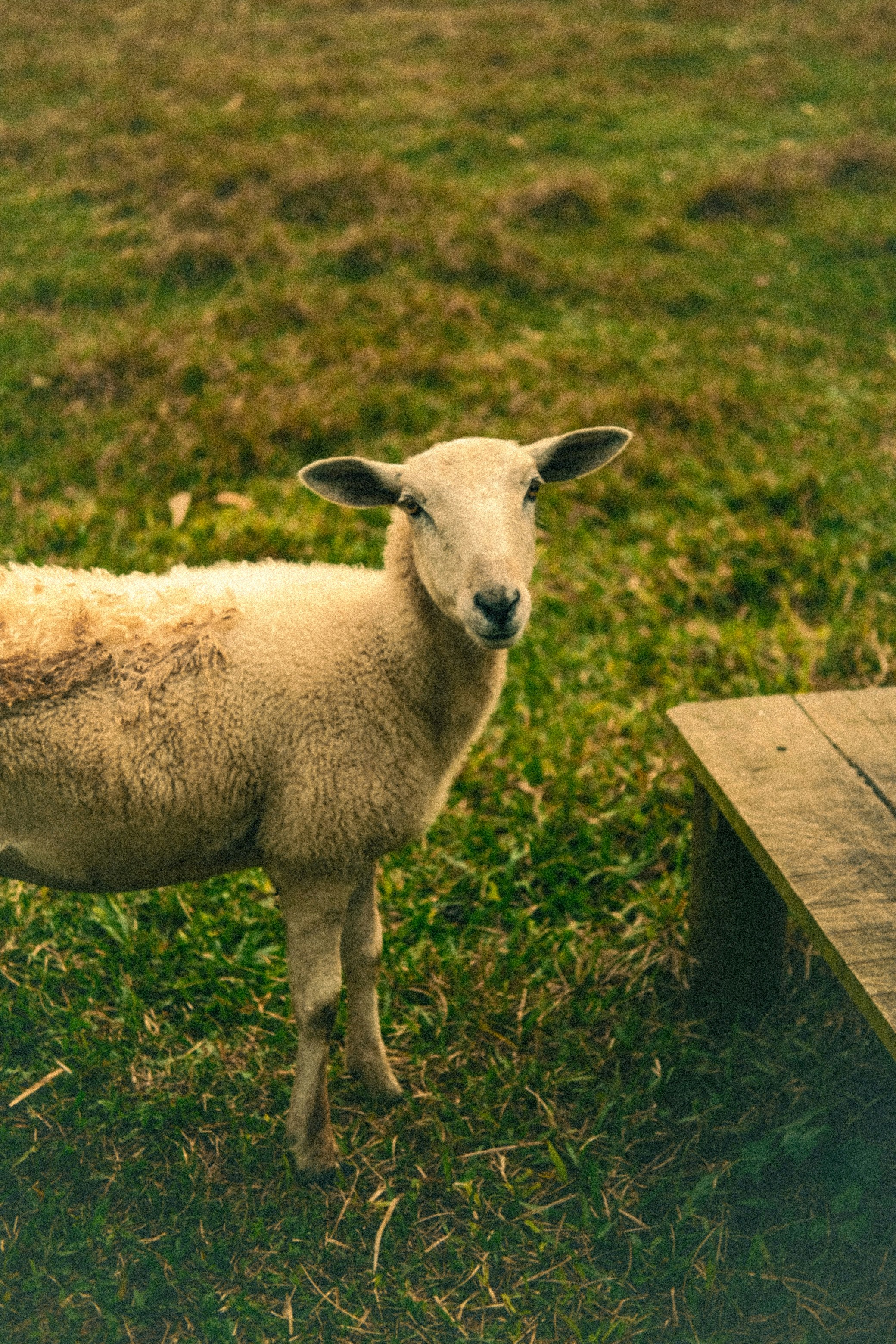 Photo by andreblanco