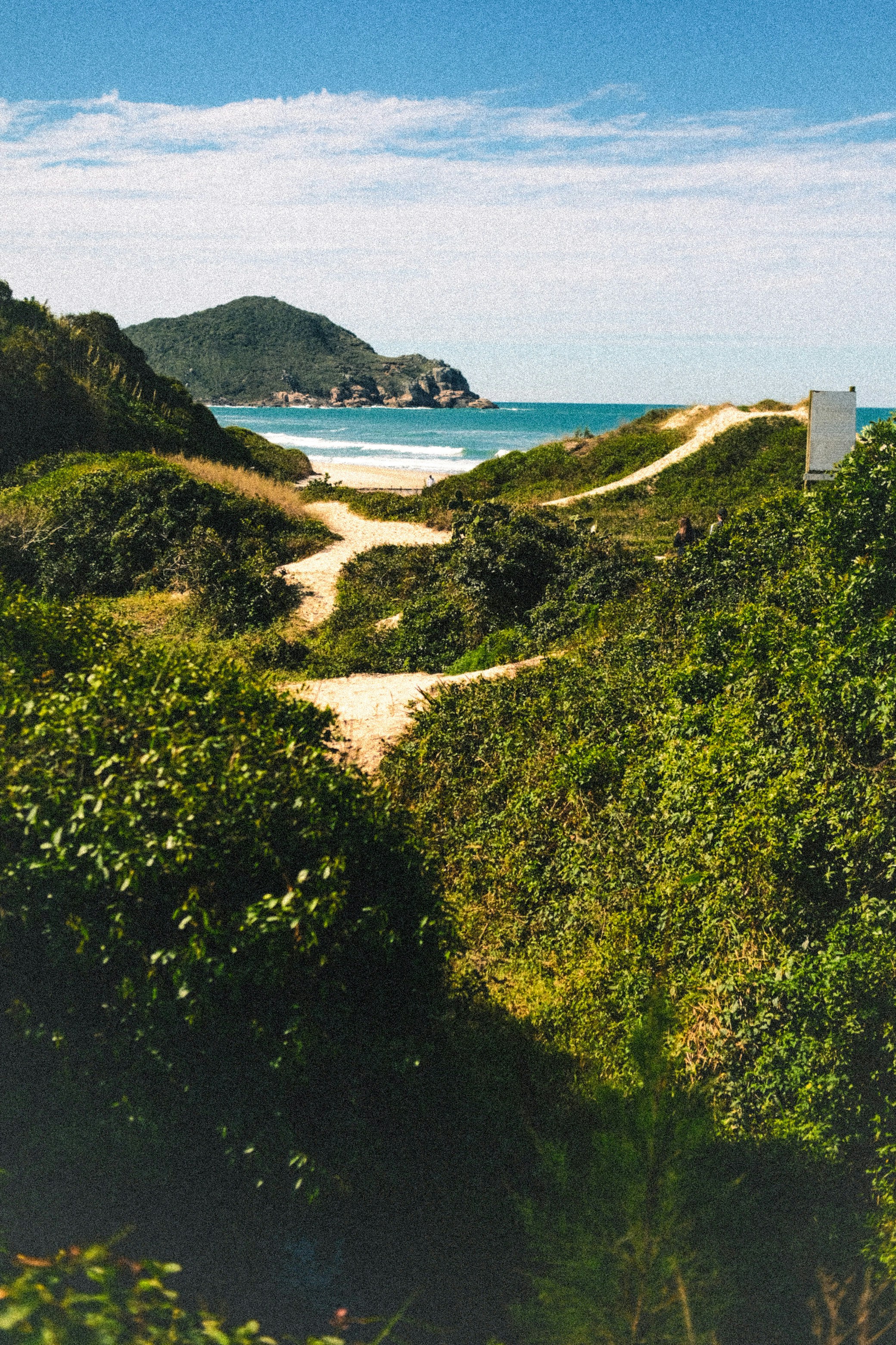 A path leading to a beach with a view of the ocean