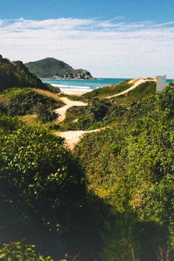 A path leading to a beach with a view of the ocean
