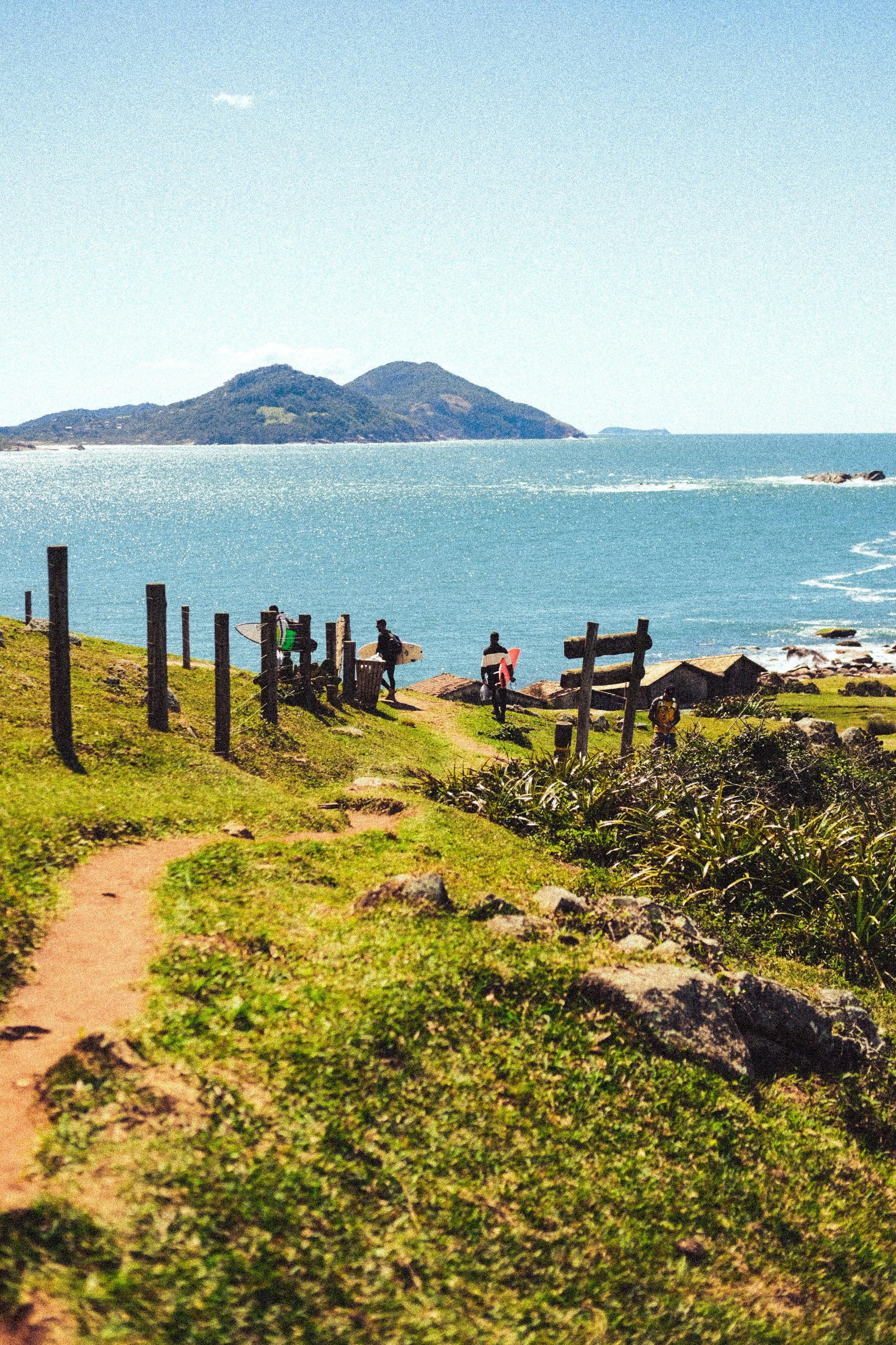 Food and Dining Expenses