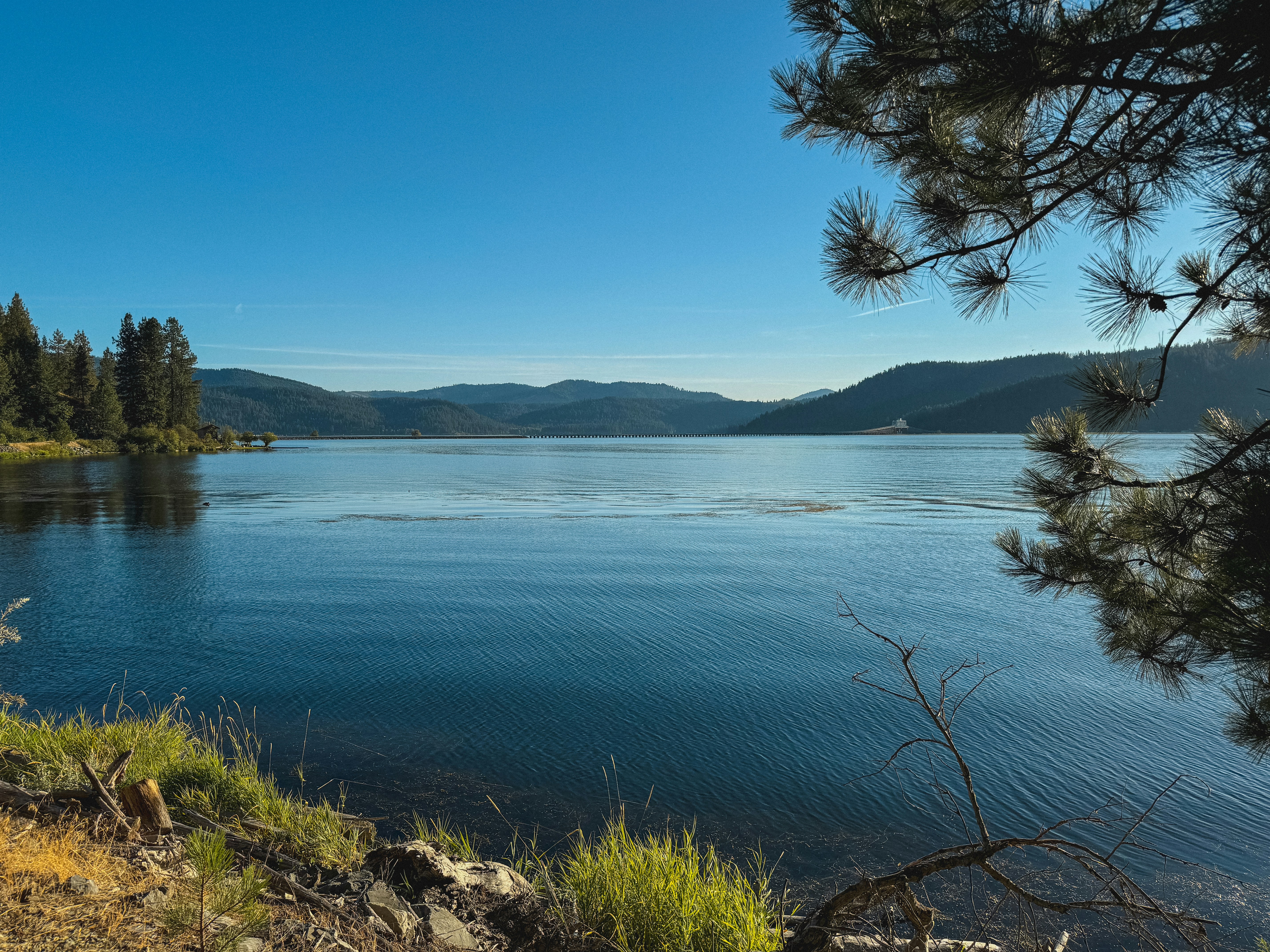 Photo by kamerondesign