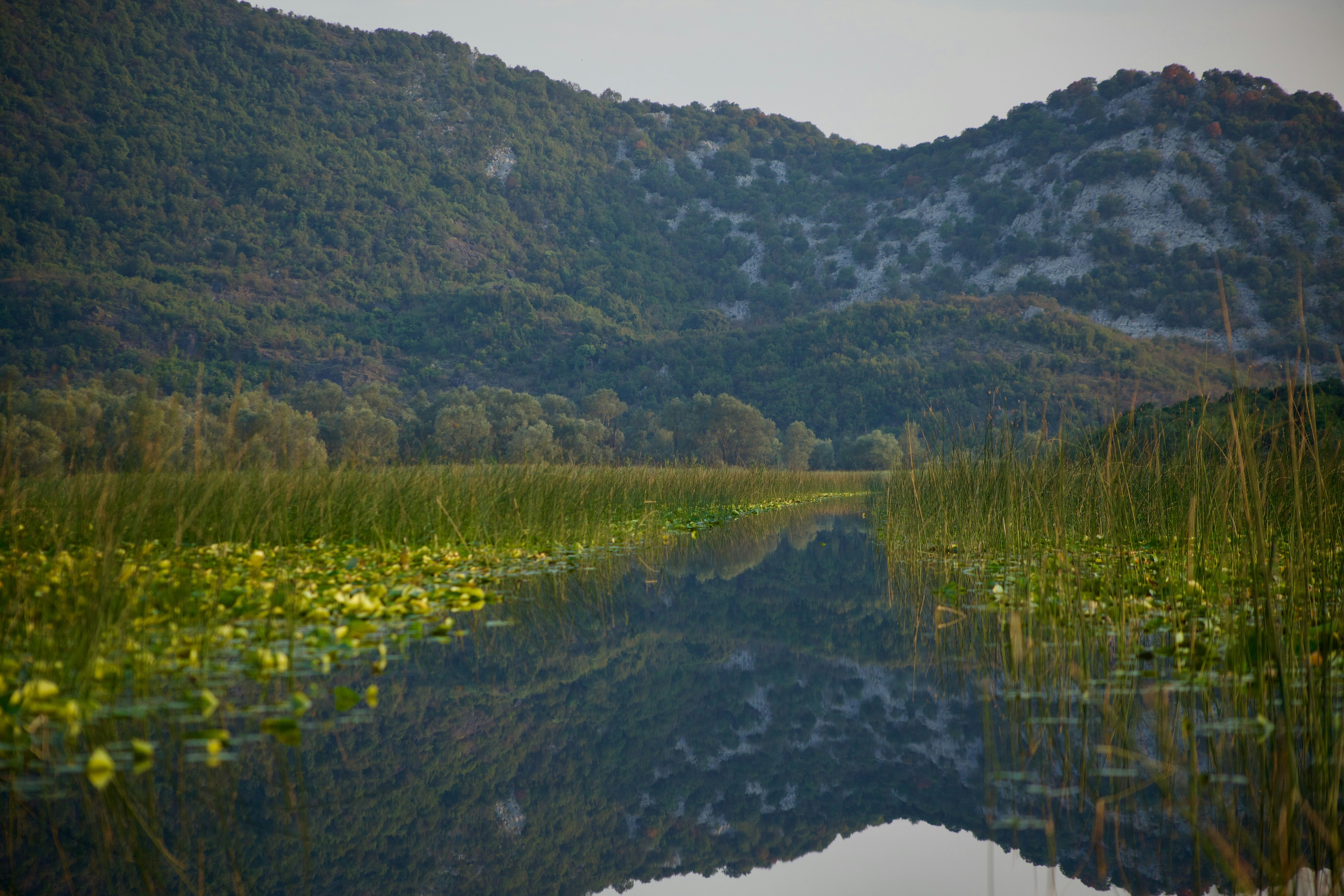 Photo by andrisgangis