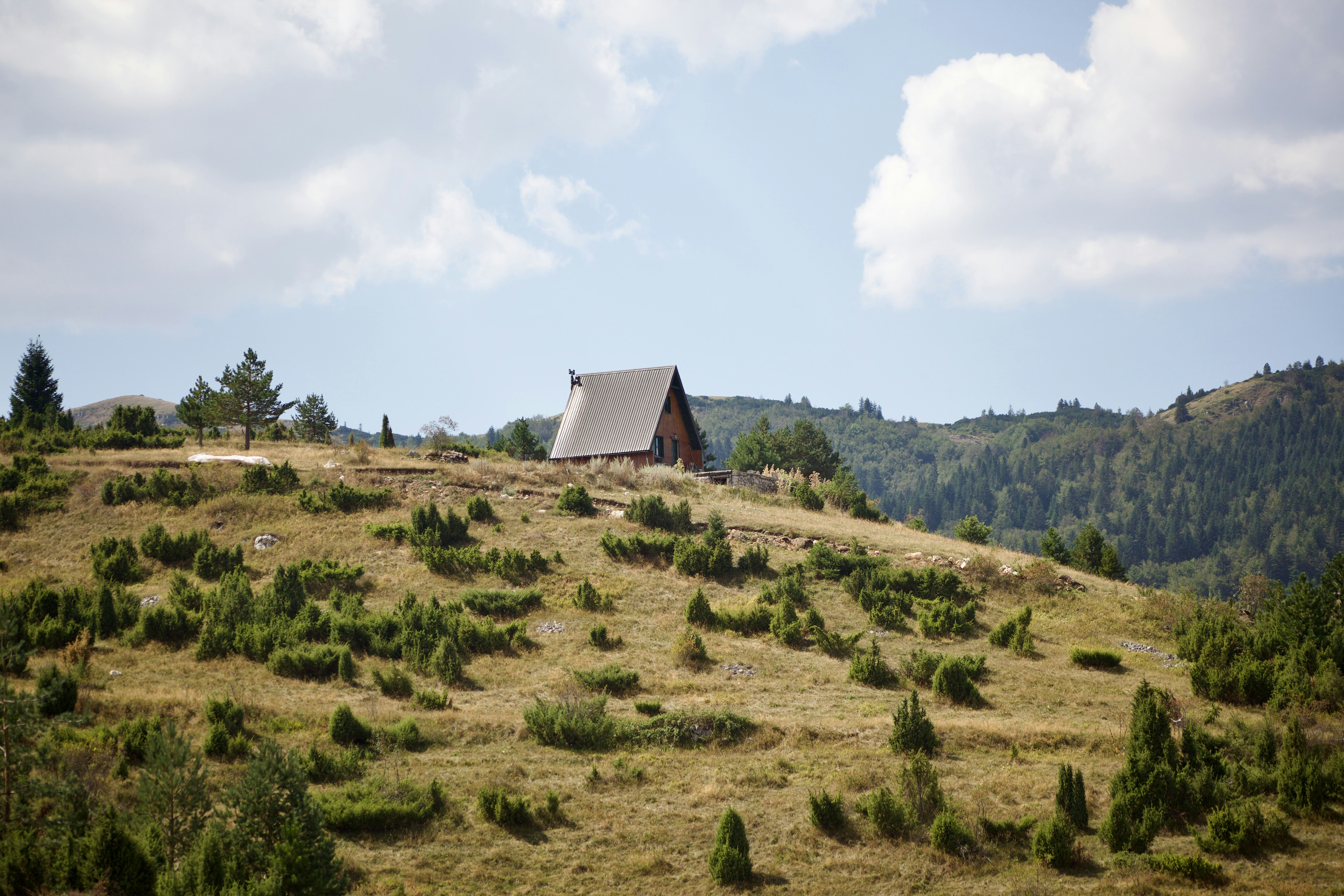 Photo by andrisgangis