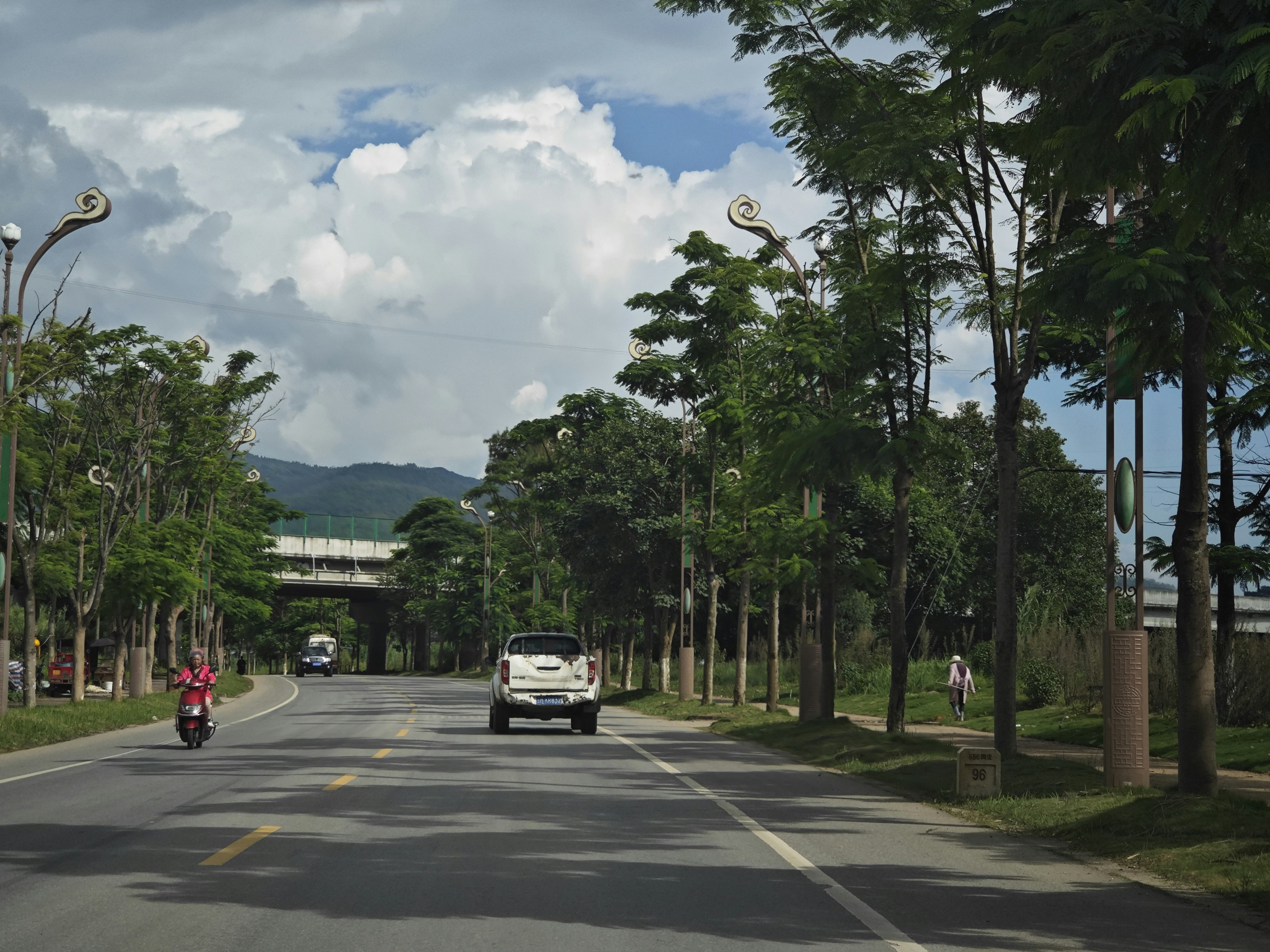 A car driving down a street next to a forest