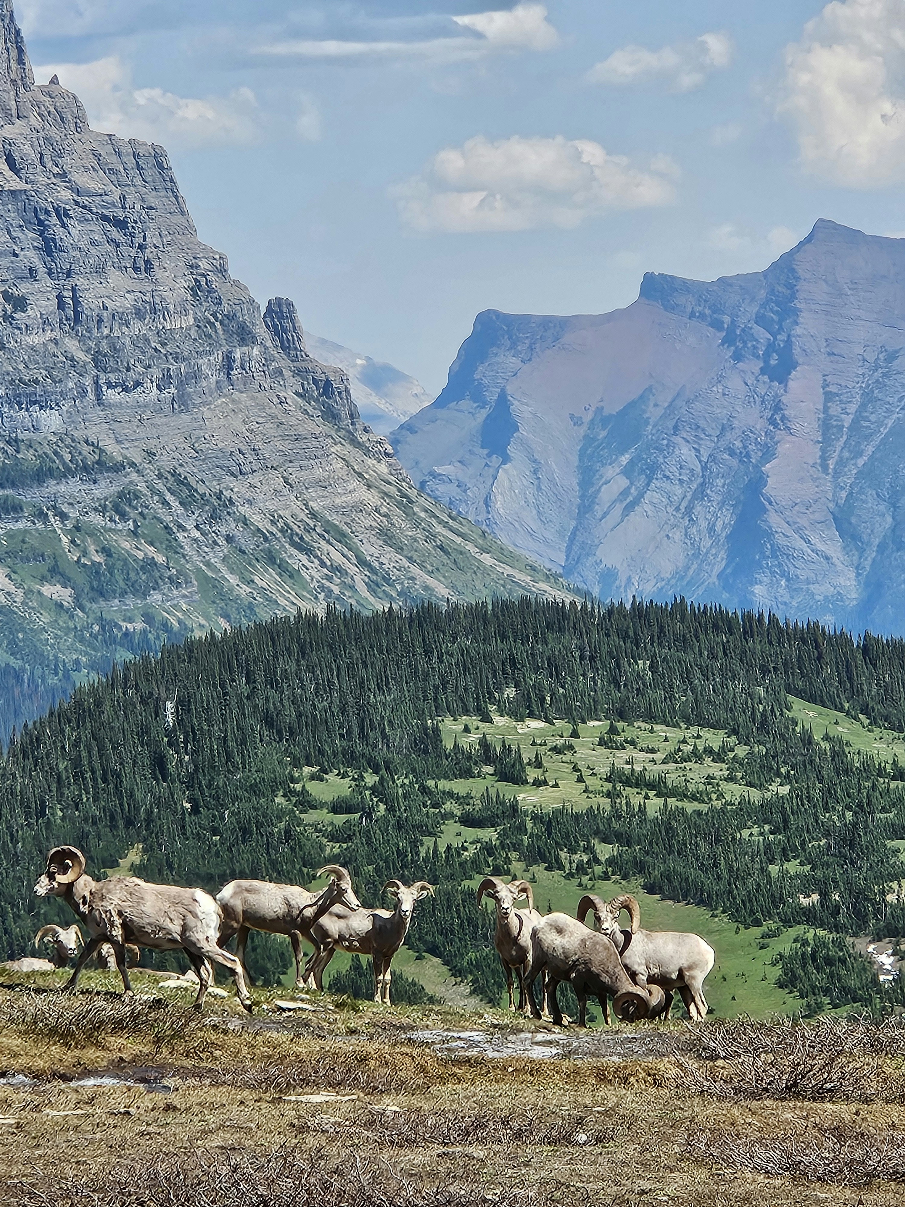 Photo by photocarver