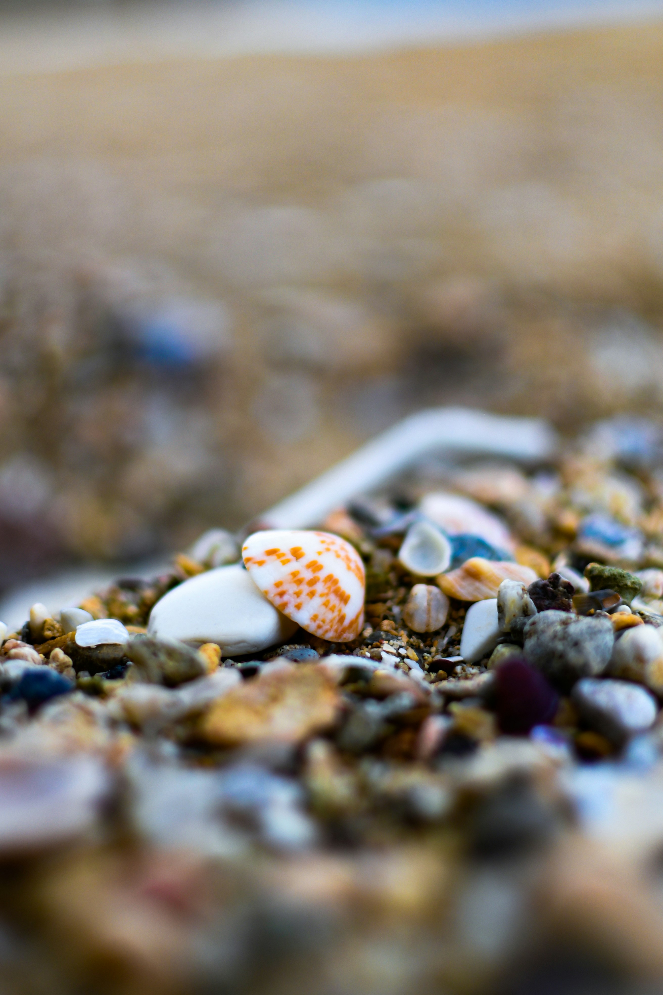 Photo by guzman123456