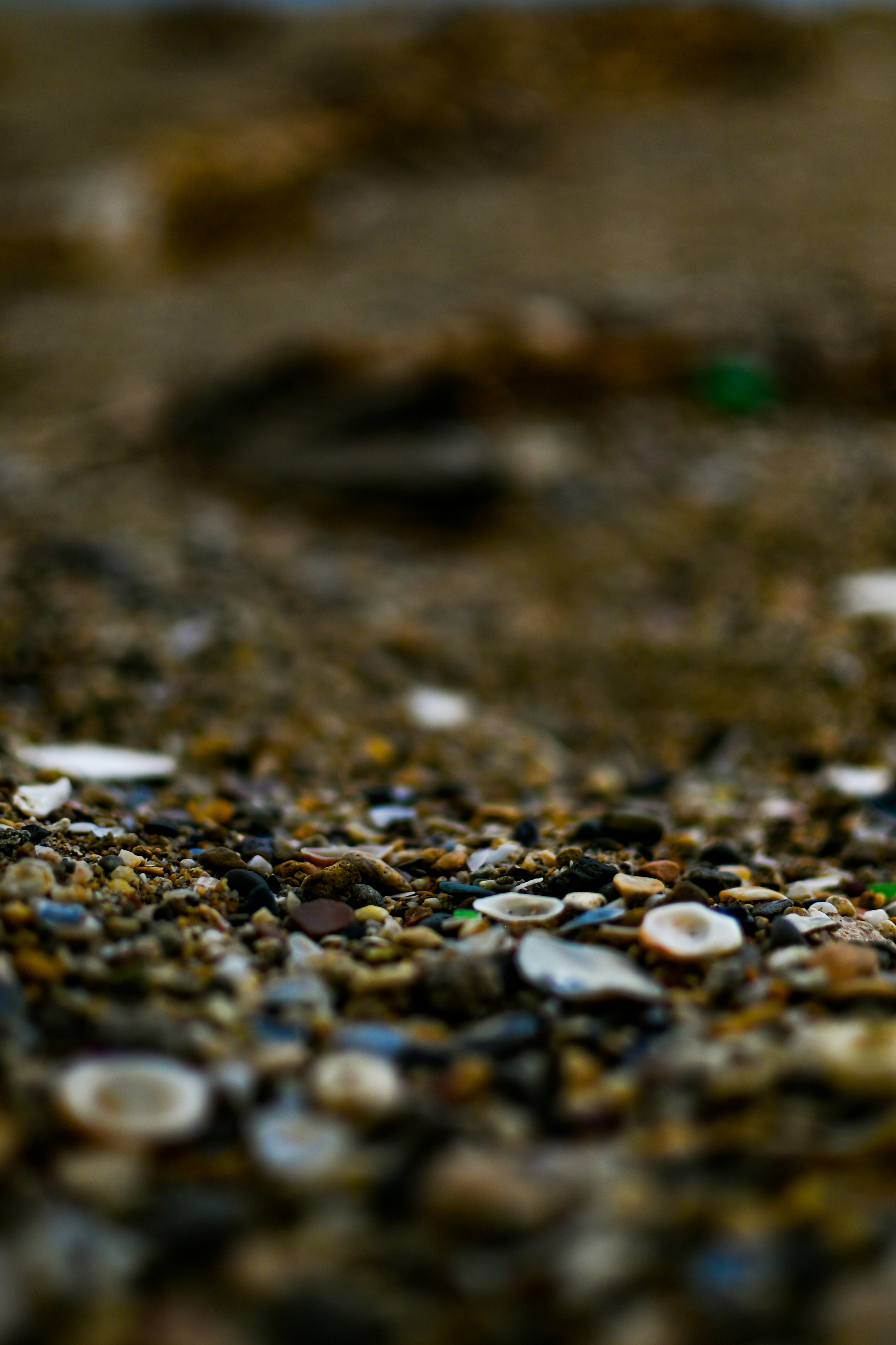 Photo by guzman123456