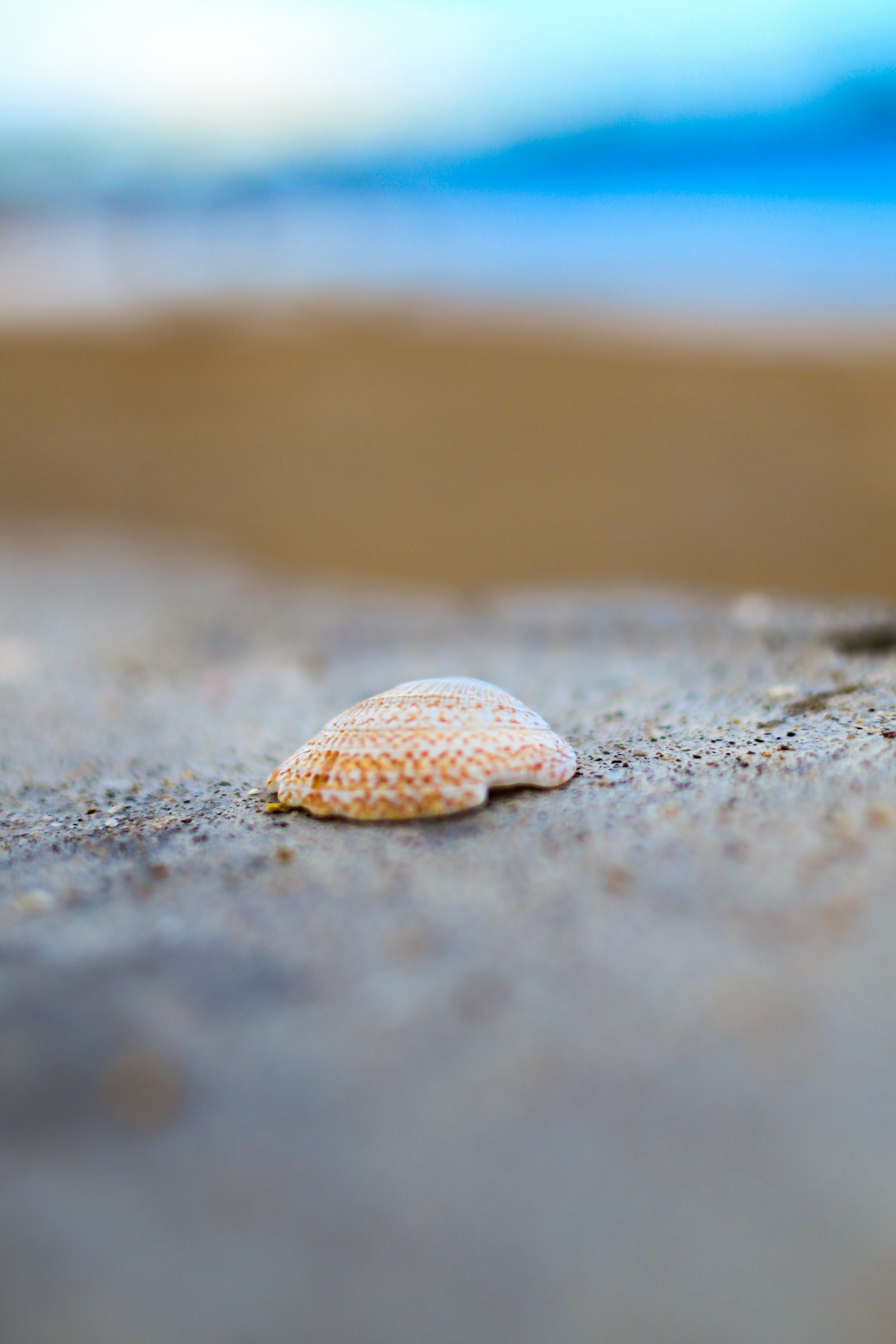 Photo by guzman123456