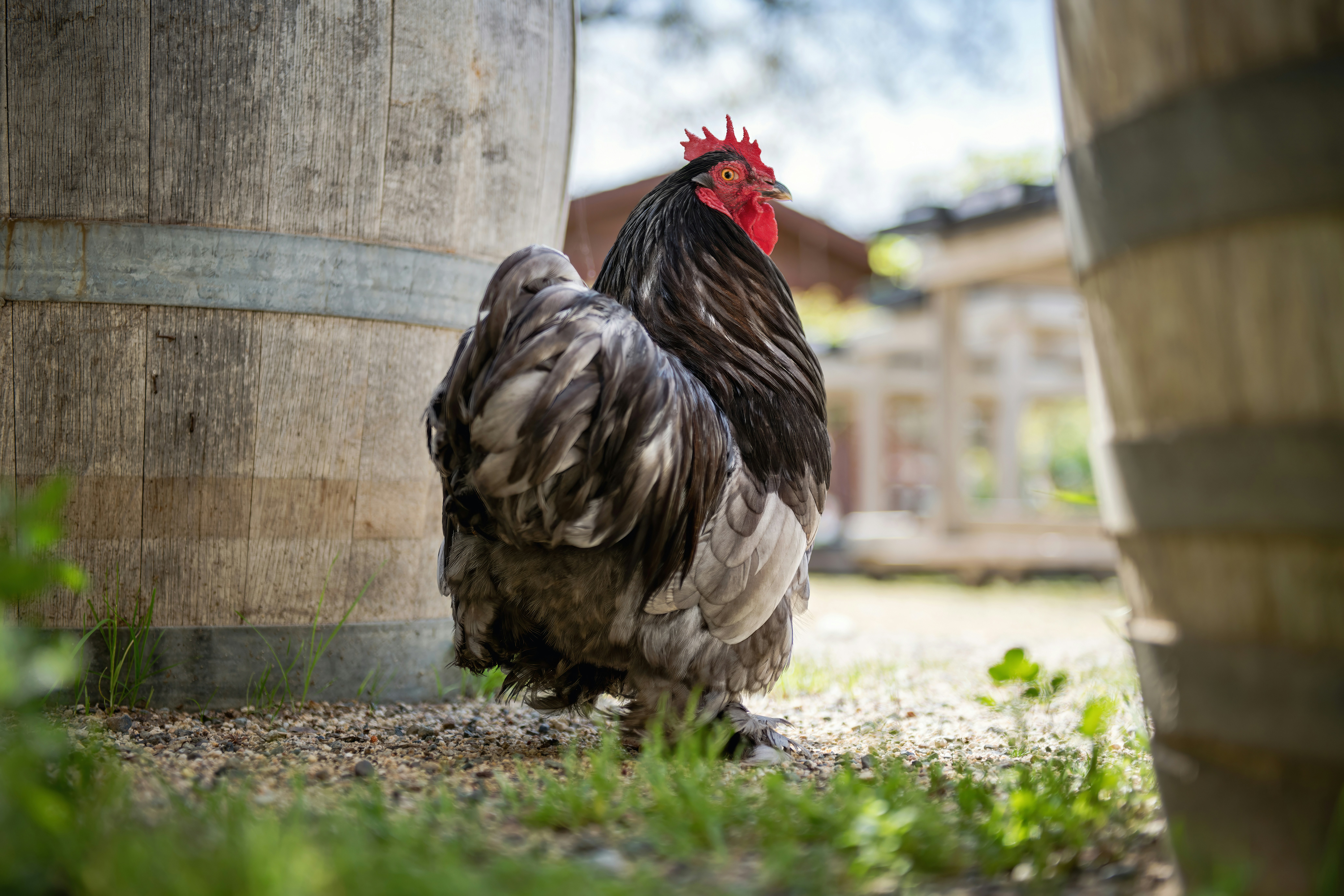 Photo by timmossholder