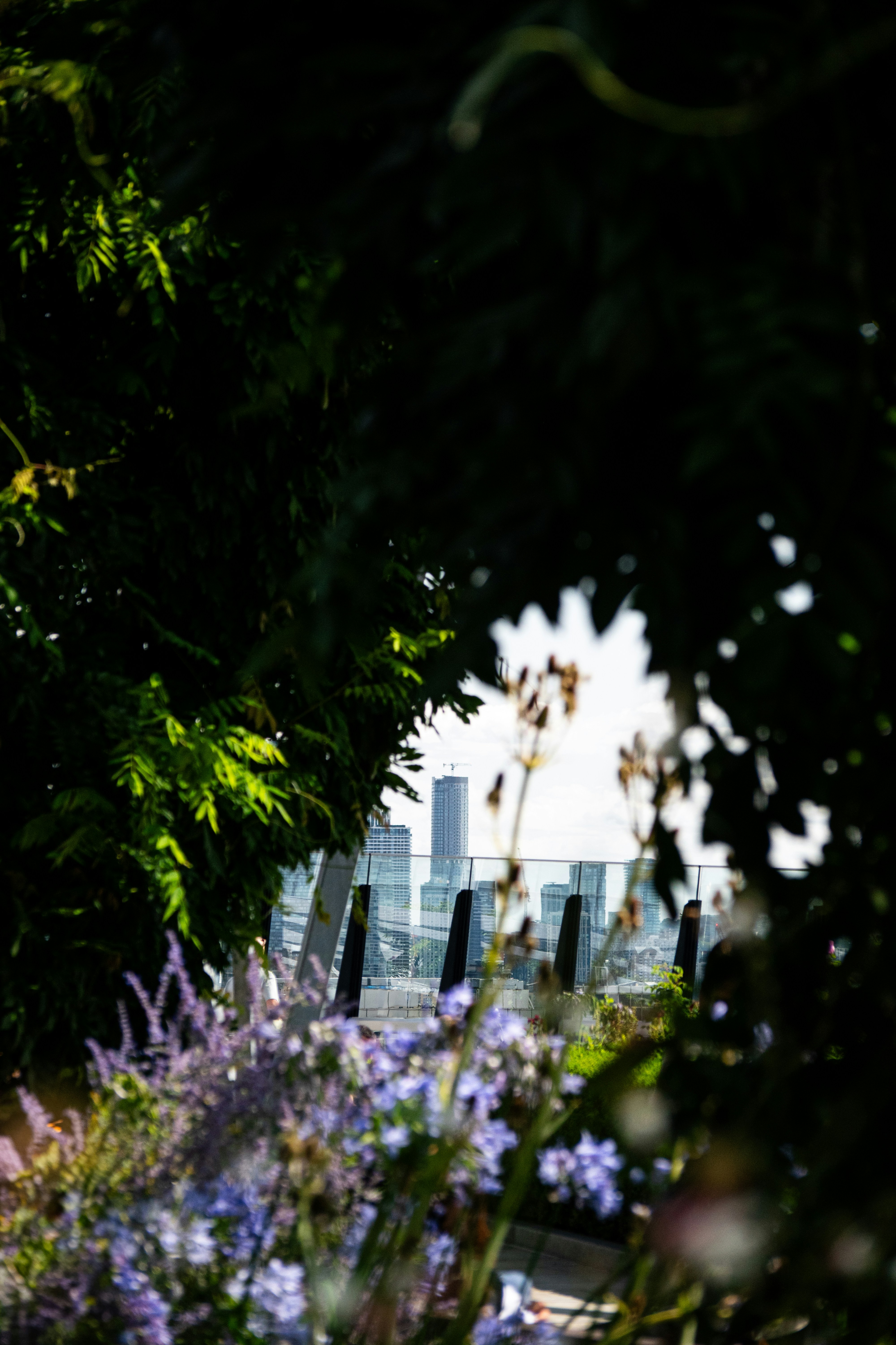 A view of a city through some trees