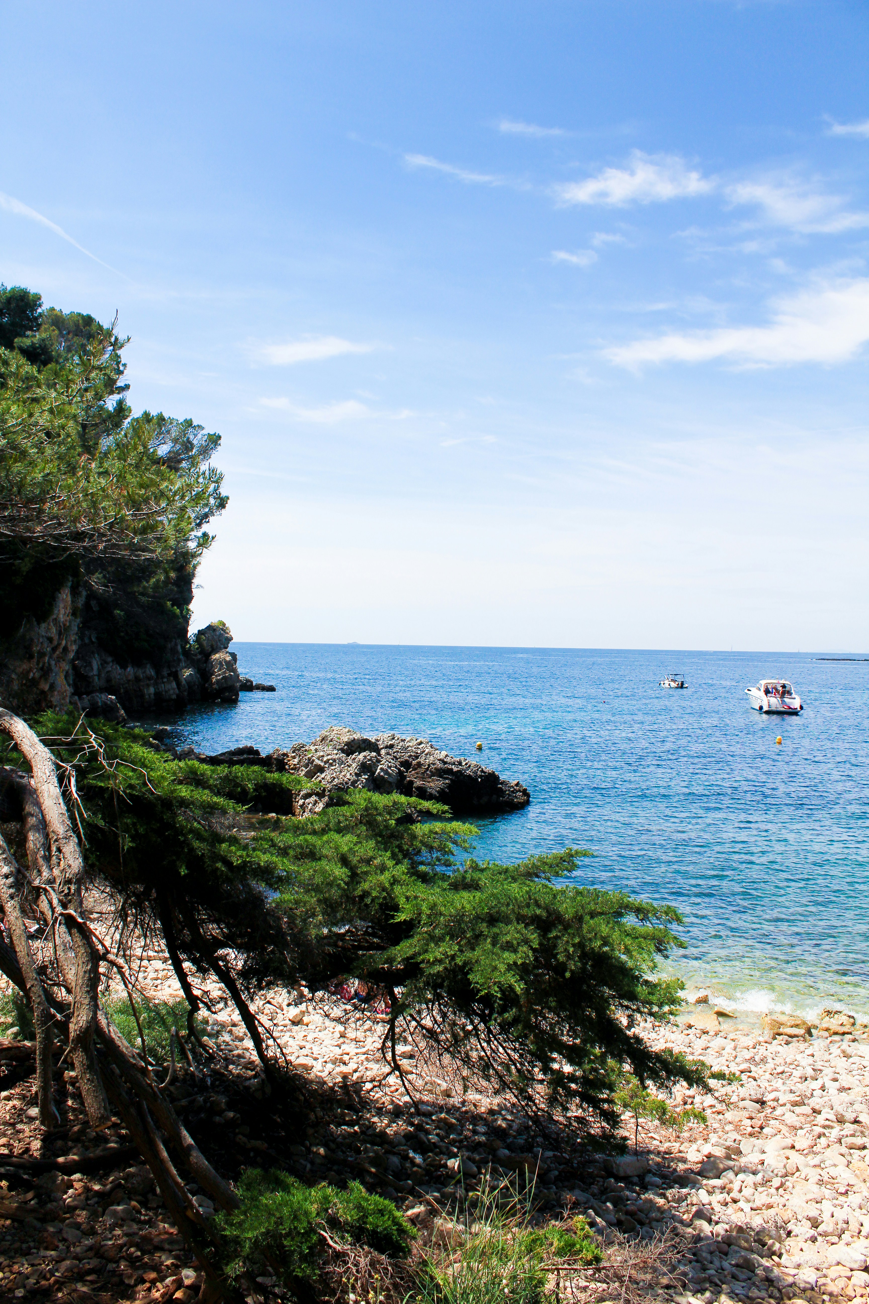 Photo by macybdesign