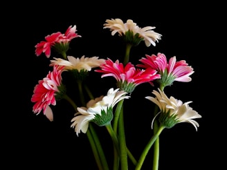 A vase filled with pink and white flowers