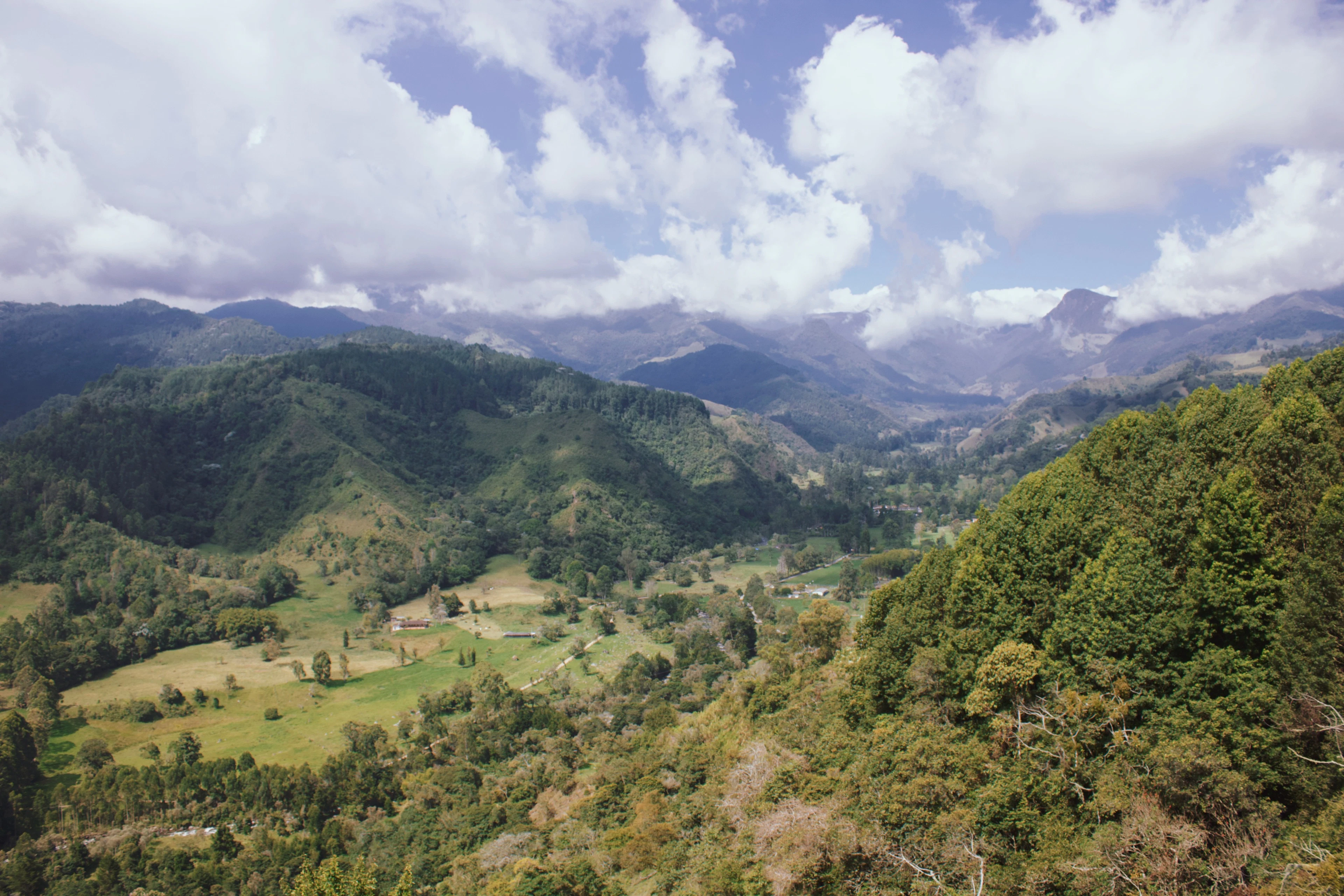 A green mountain valley of pasture and forest under high cloud, seen from a viewpoint in Salento, Colombia