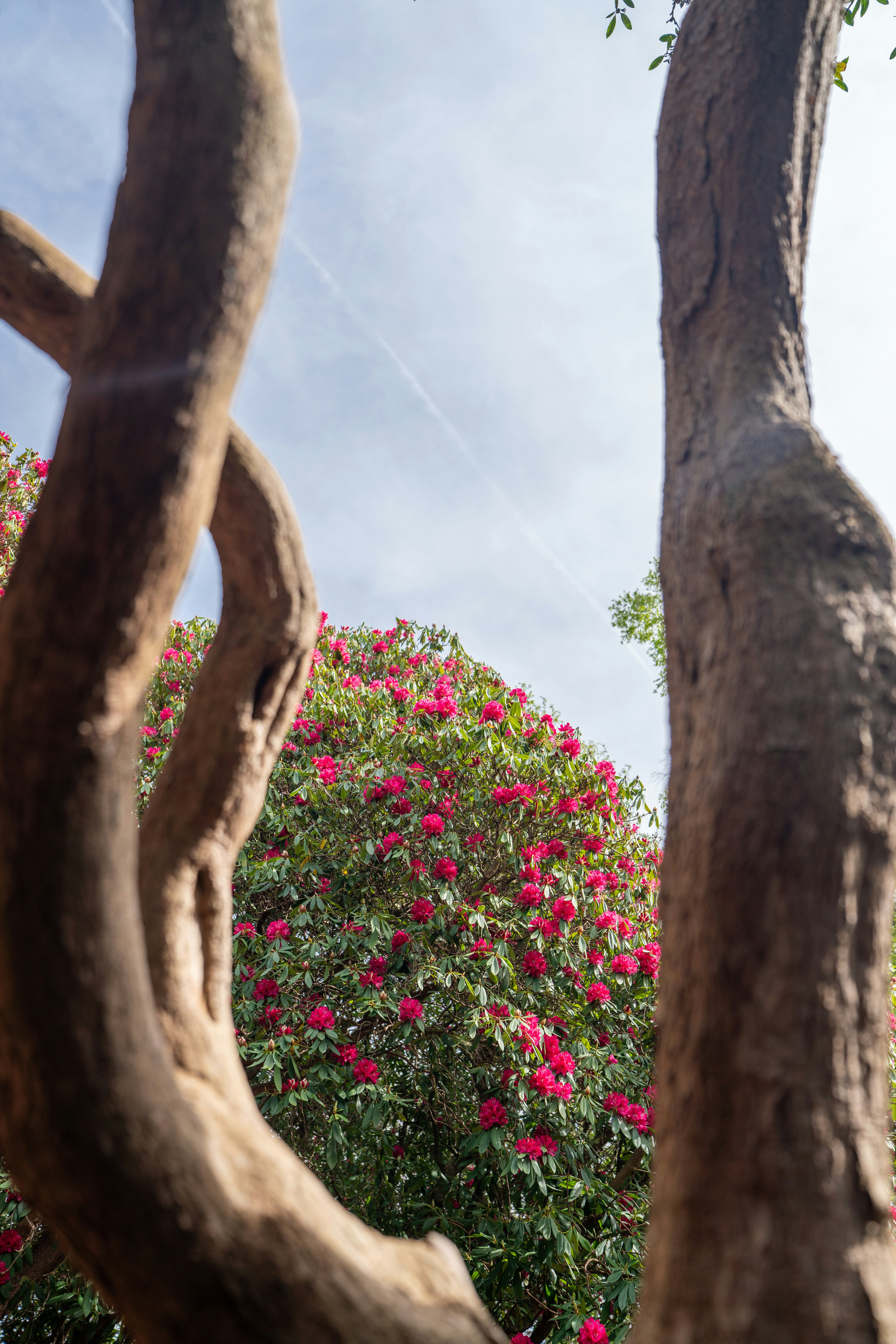 Photo by aran_vallely