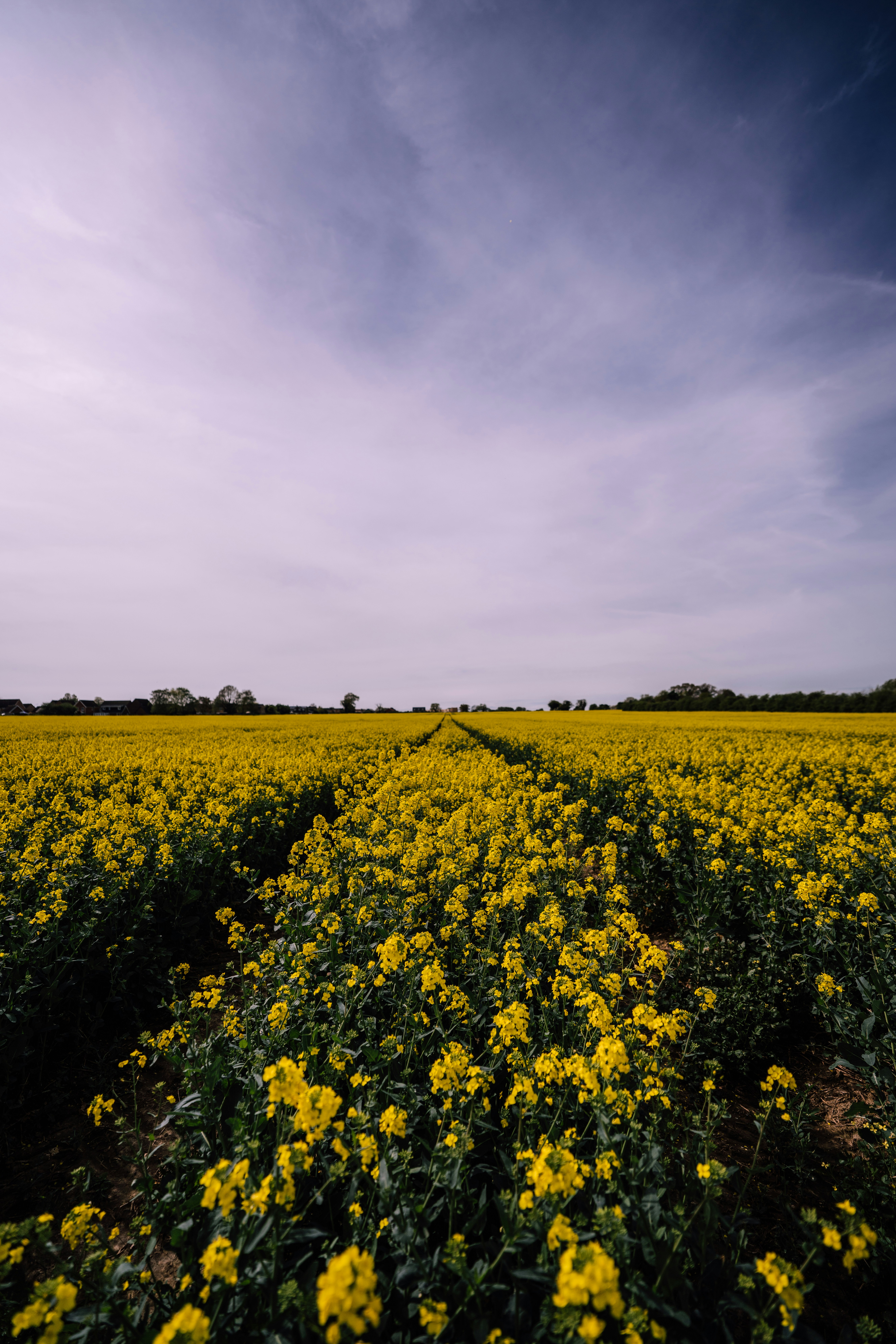 Photo by aran_vallely