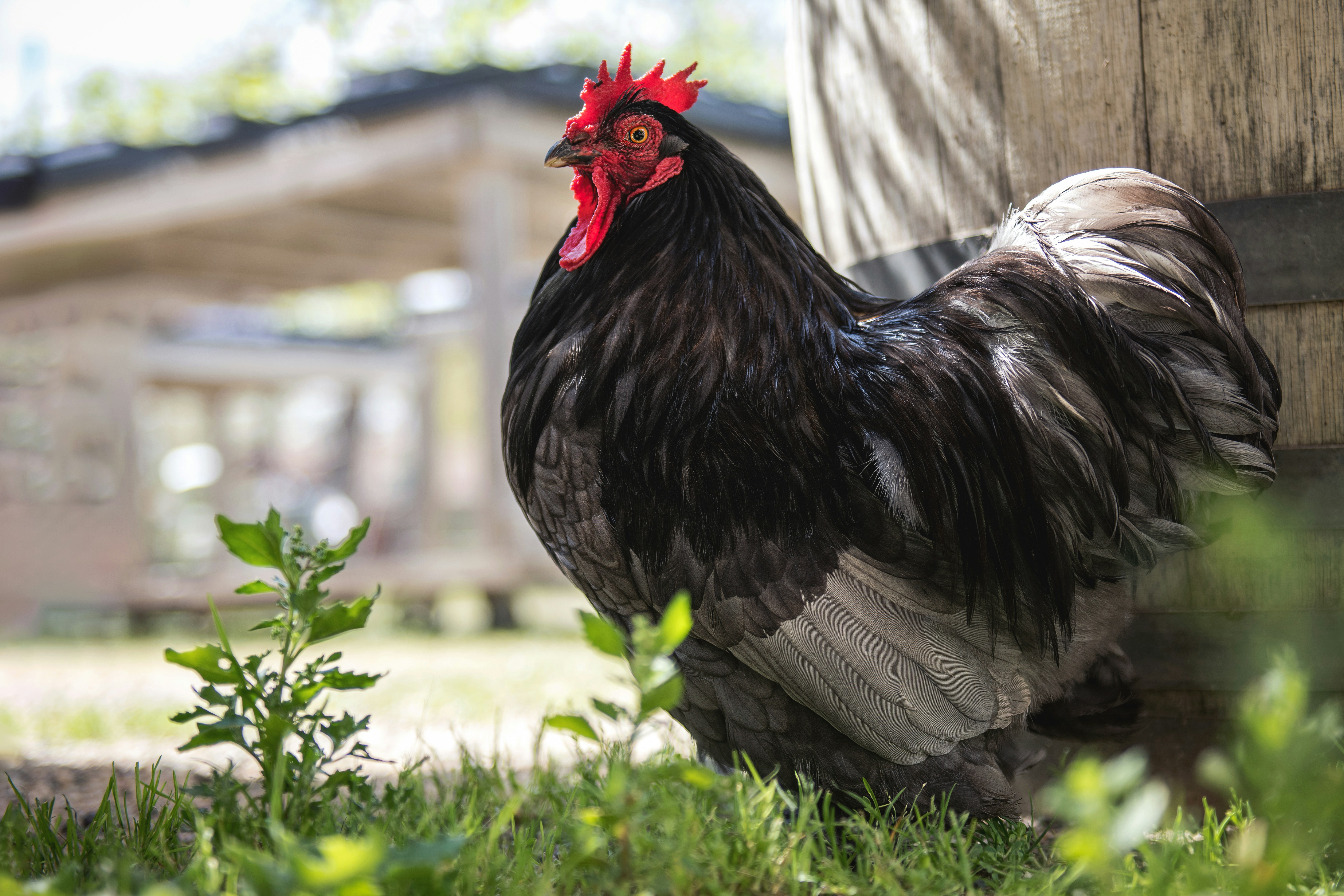 Photo by timmossholder