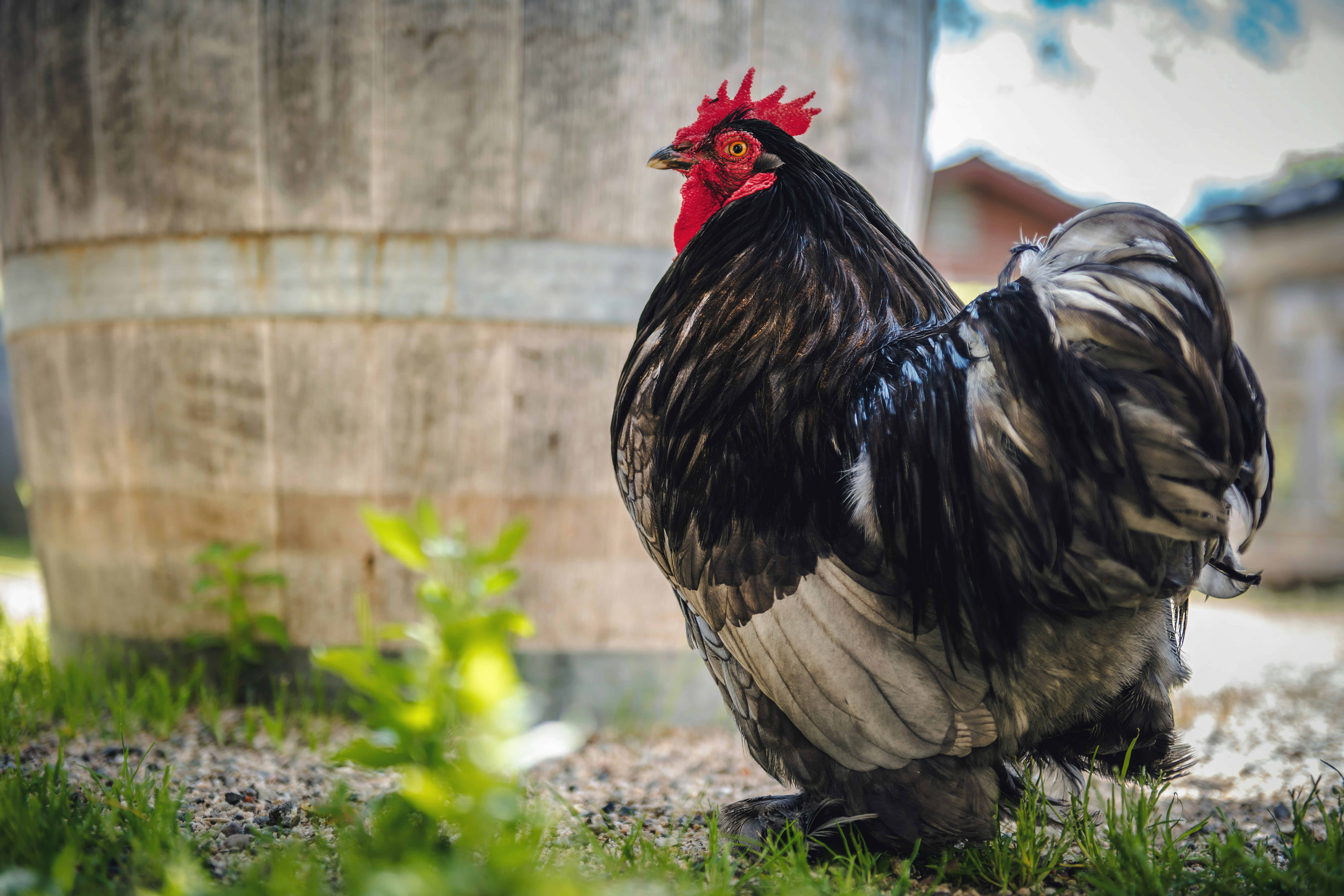 Photo by timmossholder