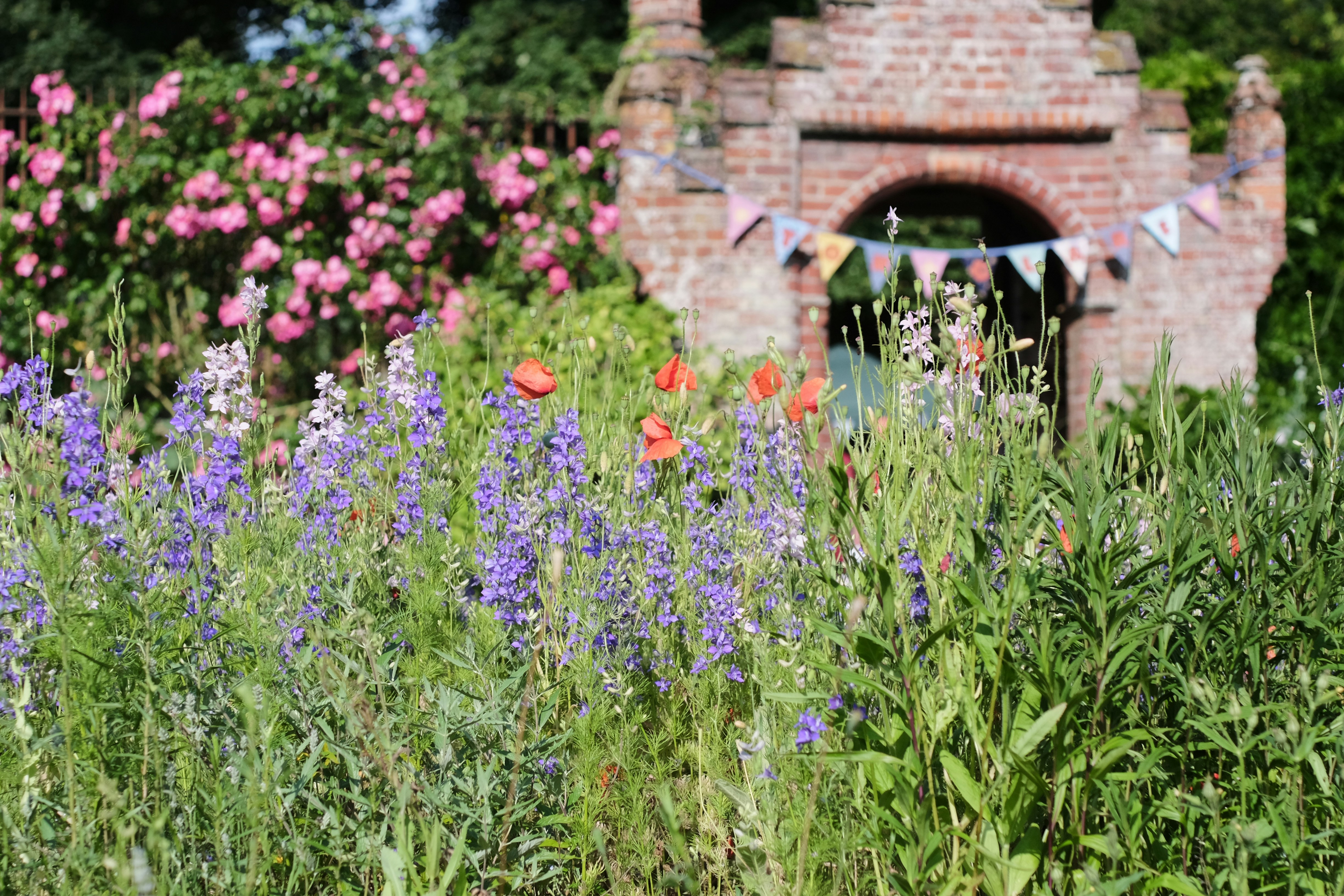 Photo by matt_c_suffolk