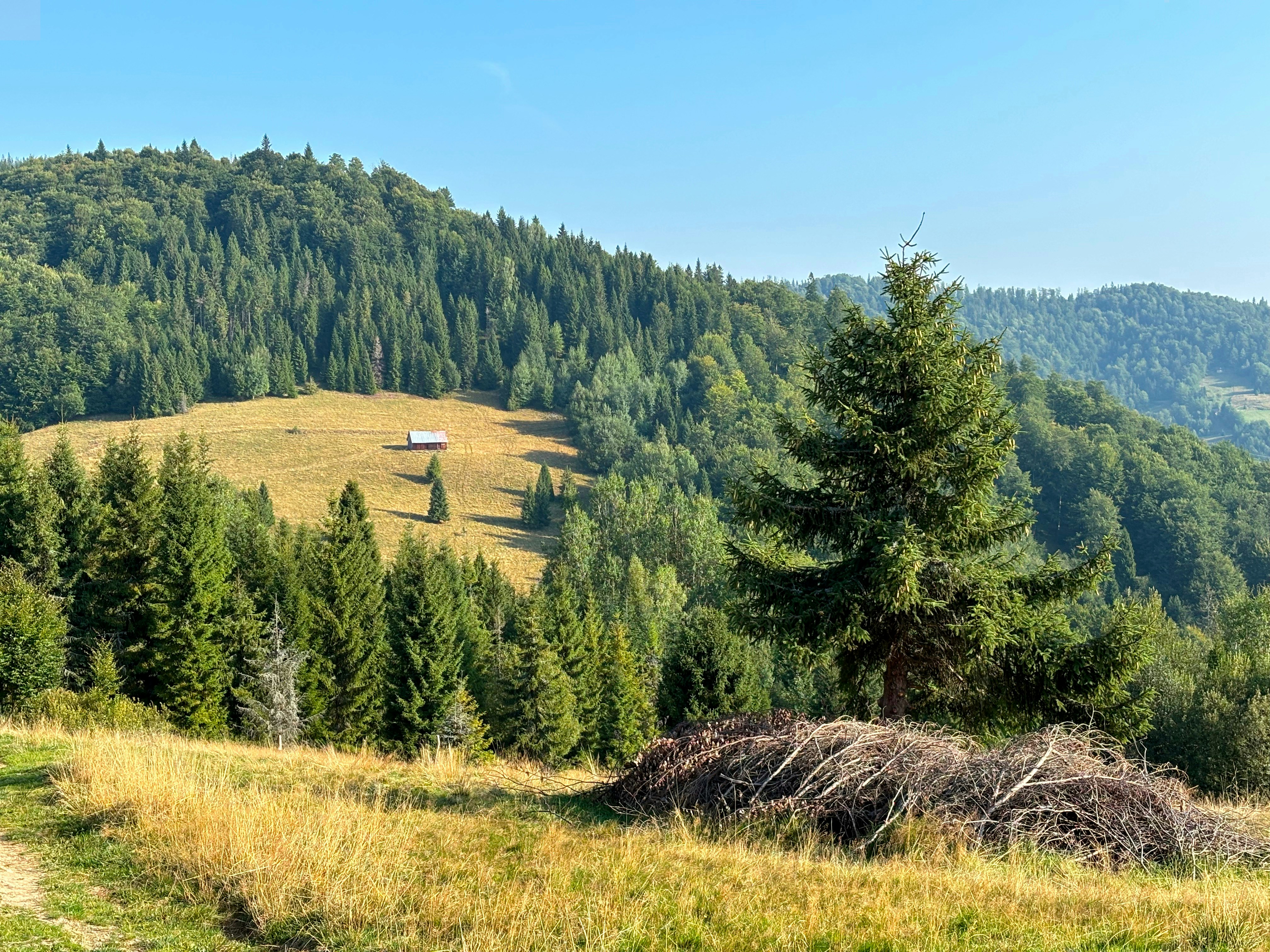 Photo by szachowiczg