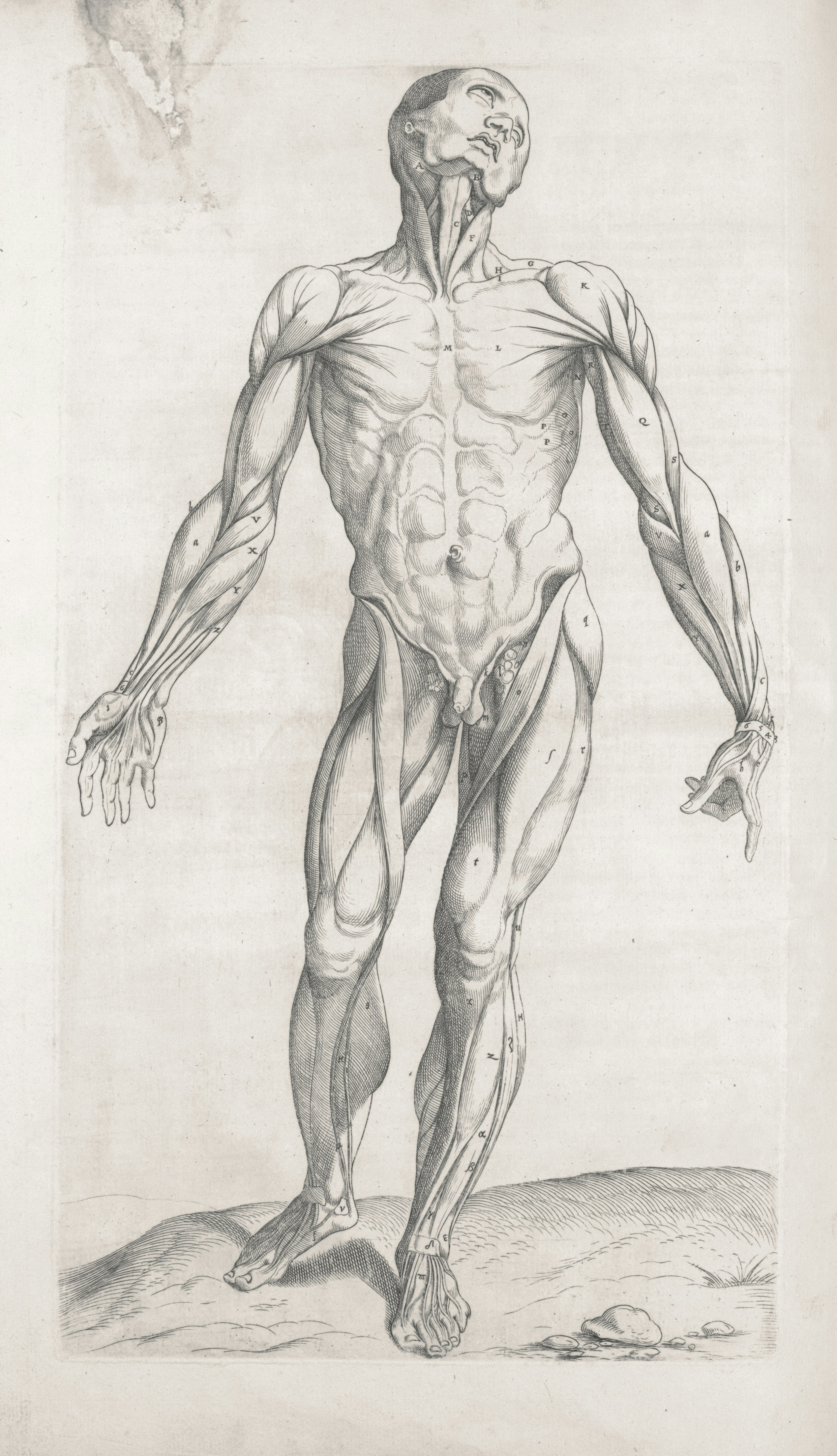 How THCA Interacts with the Body, Effects, and Common Misconceptions