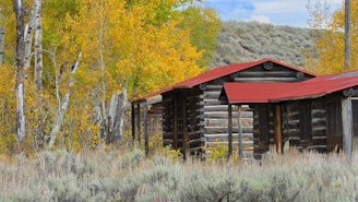 A log cabin in the woods with a red roof