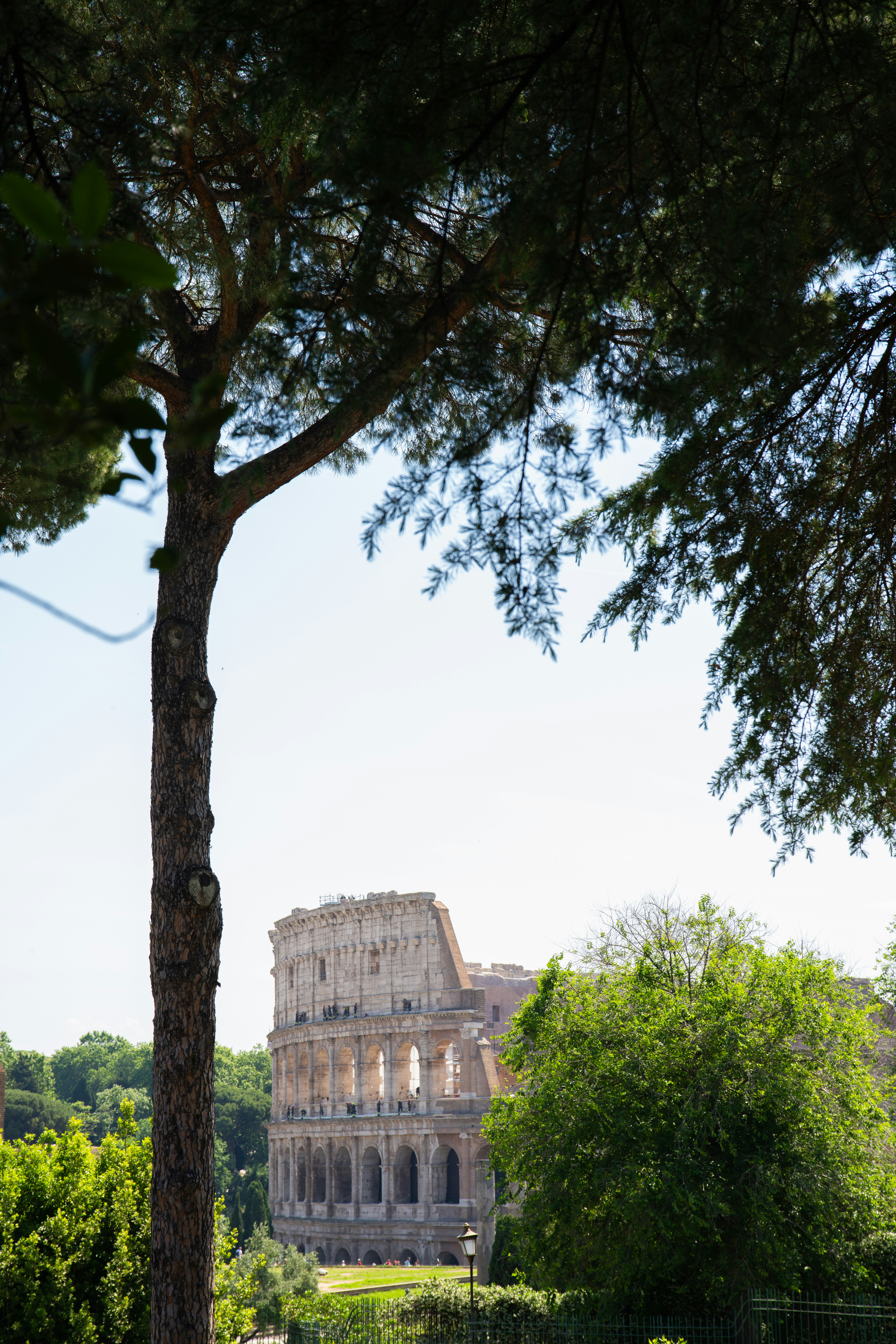 Photo by nickmartinelli98