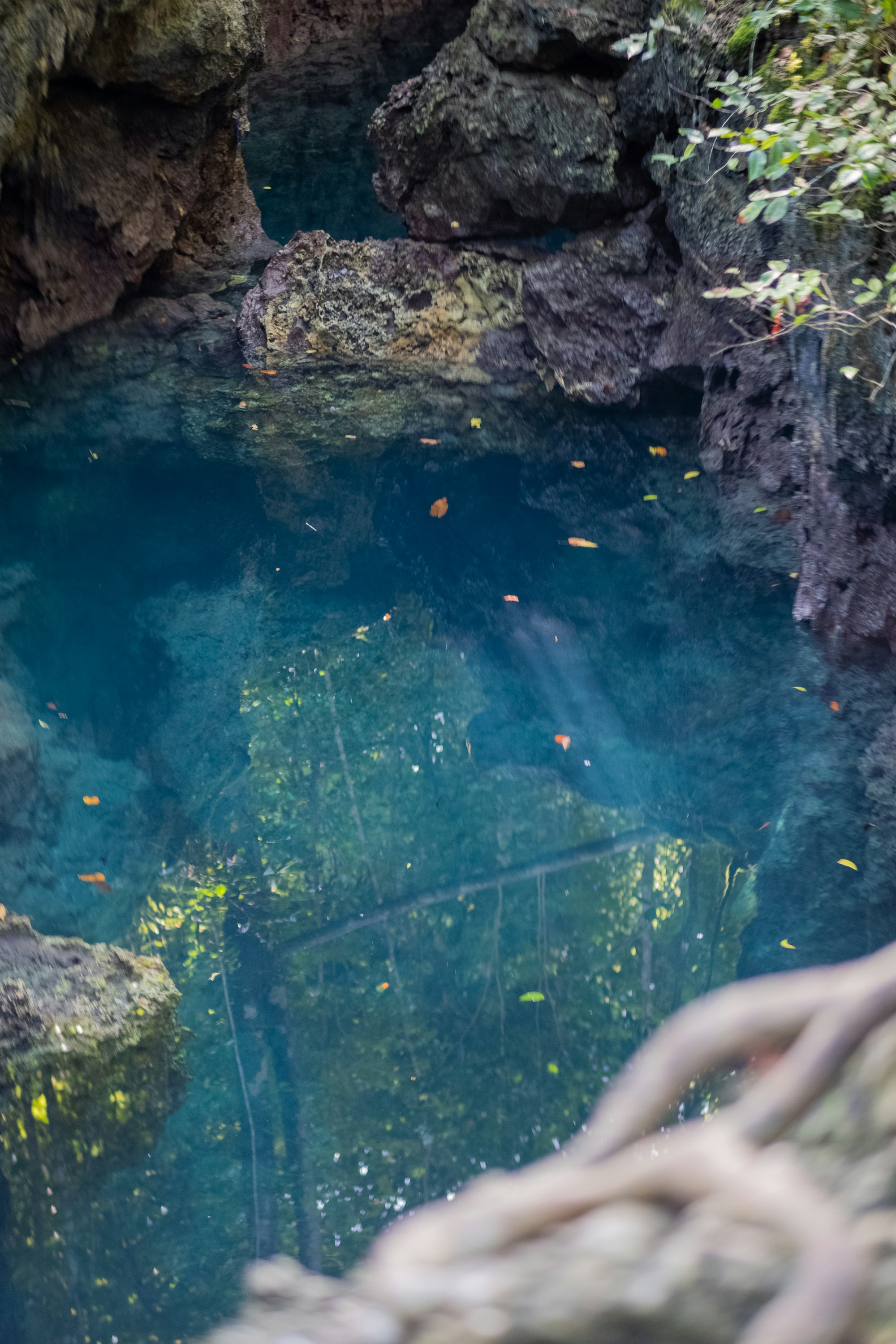 Exploring Maratua Island's Authentic Cuisine