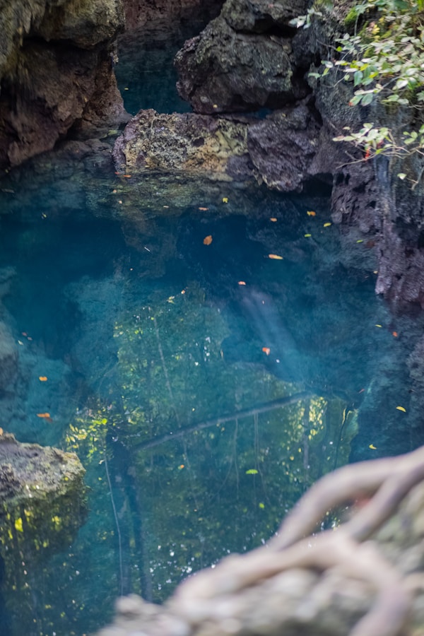 Exploring Maratua Island's Authentic Cuisine