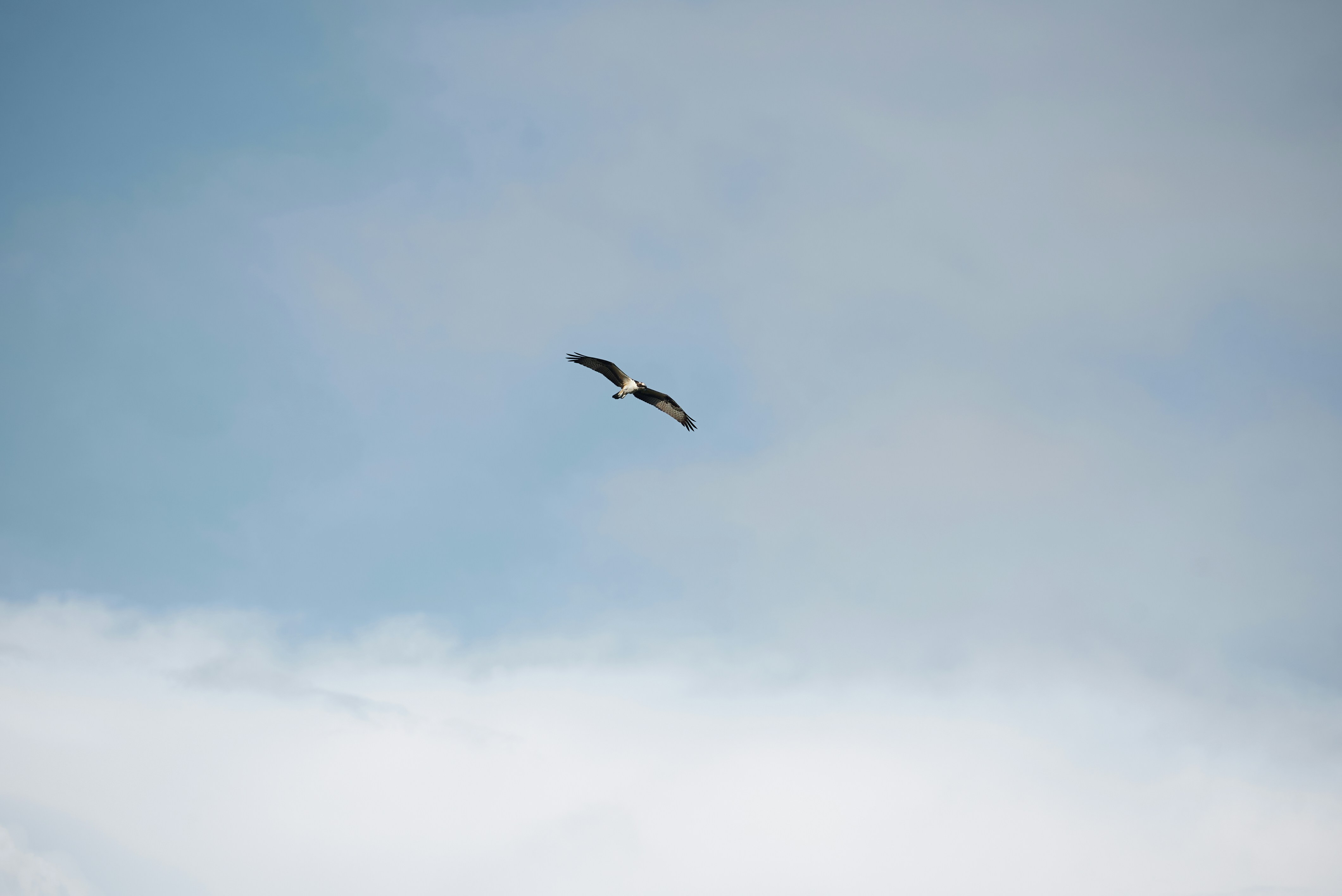 Photo by norajanelong