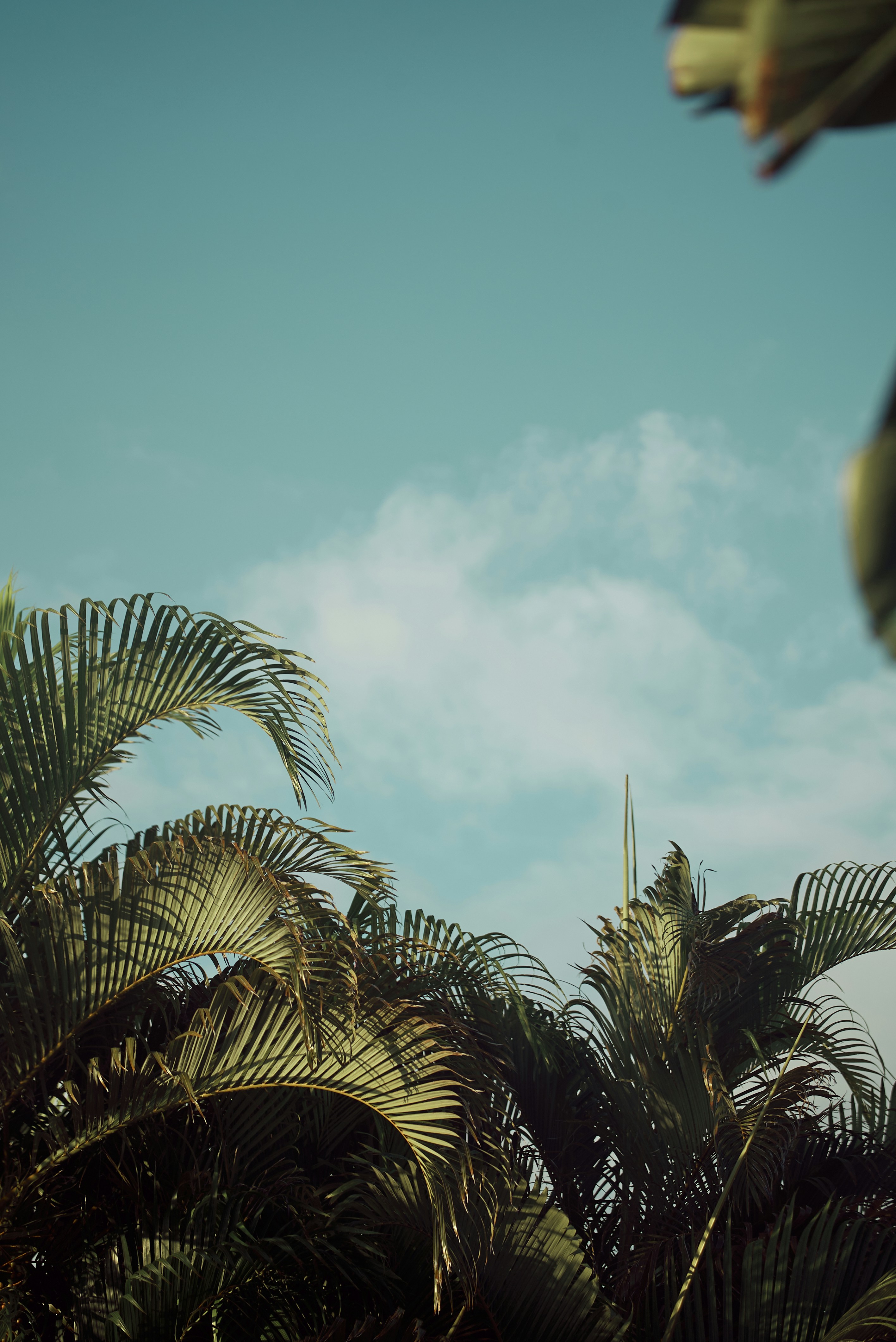 Photo by norajanelong