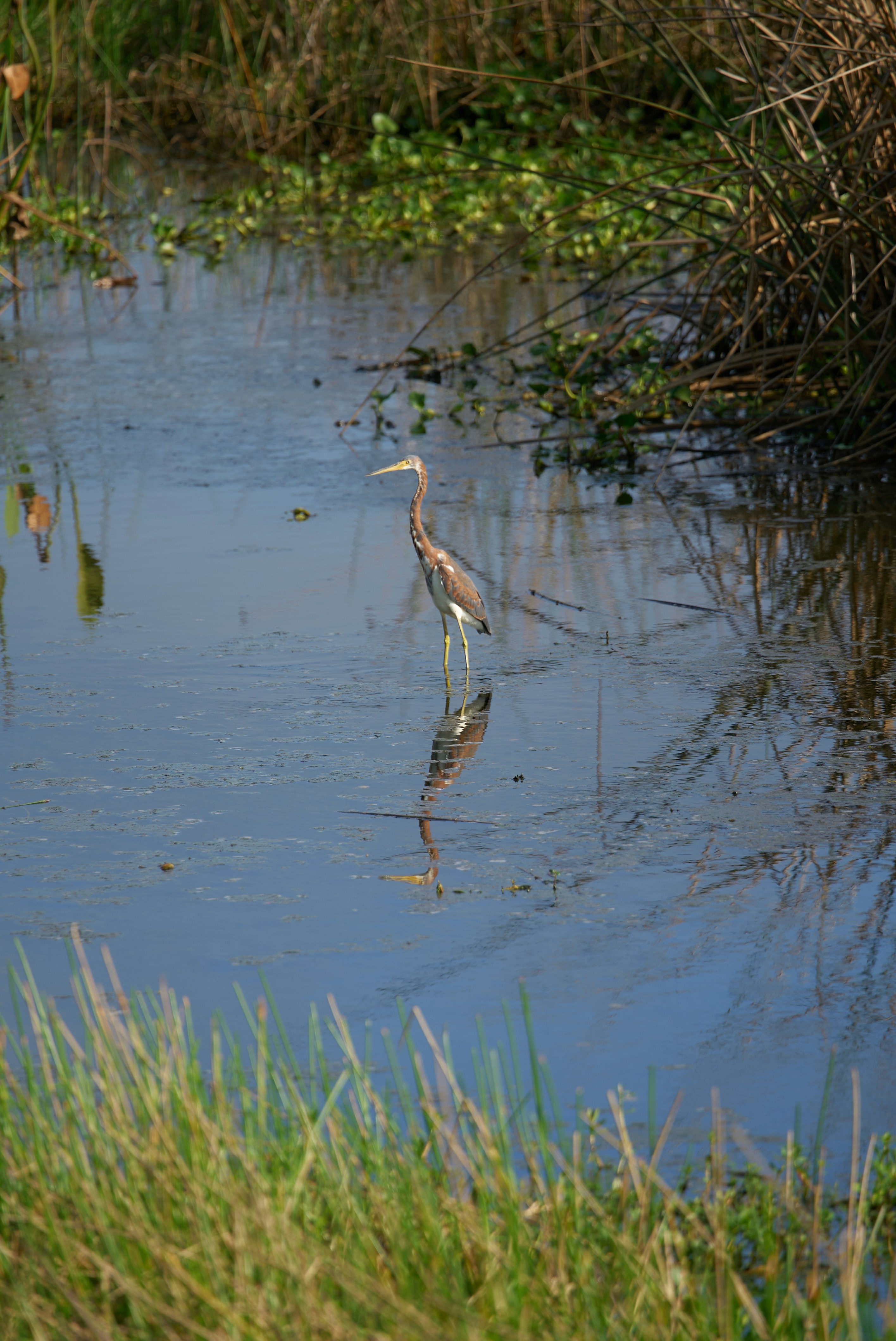 Photo by norajanelong