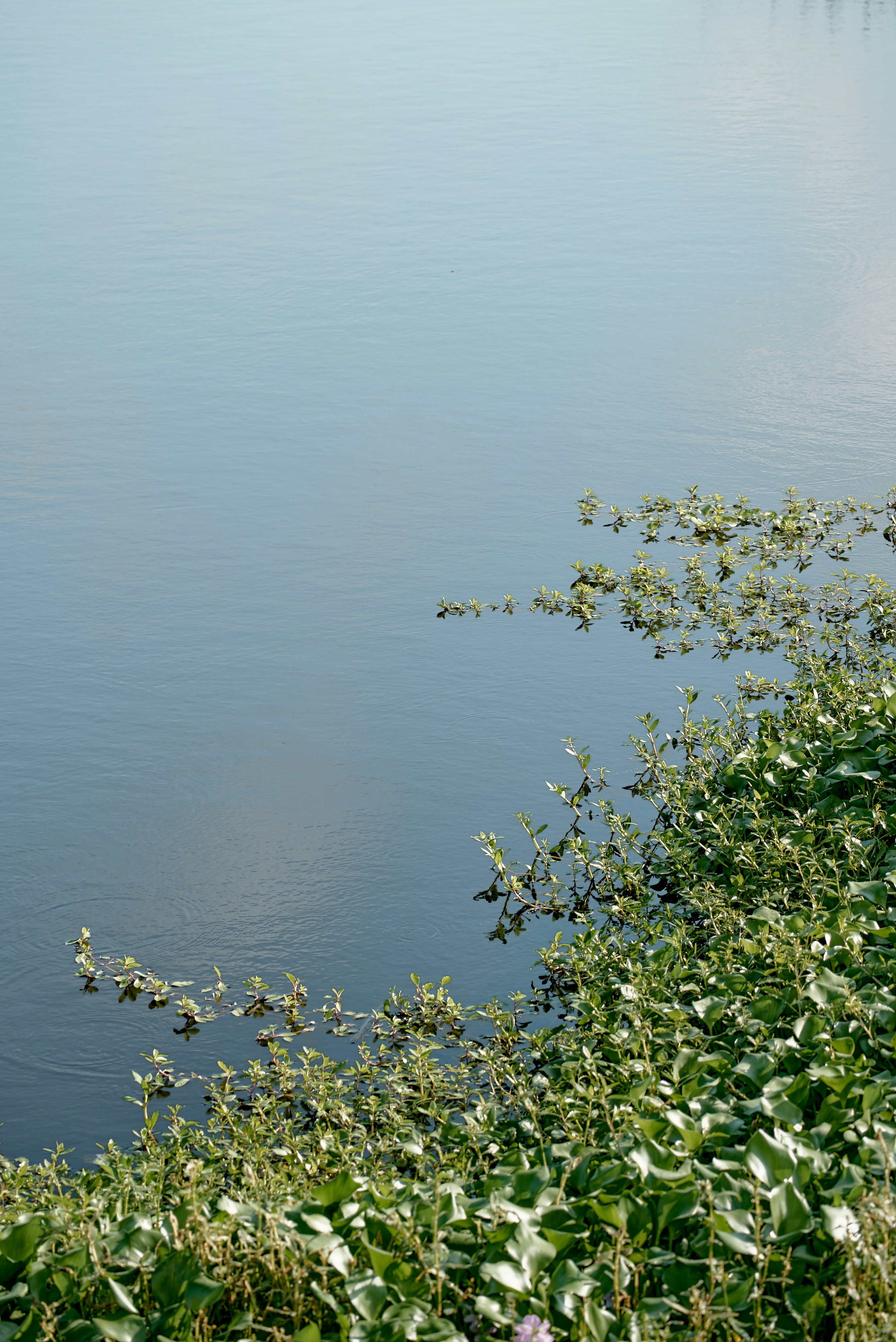 Photo by norajanelong