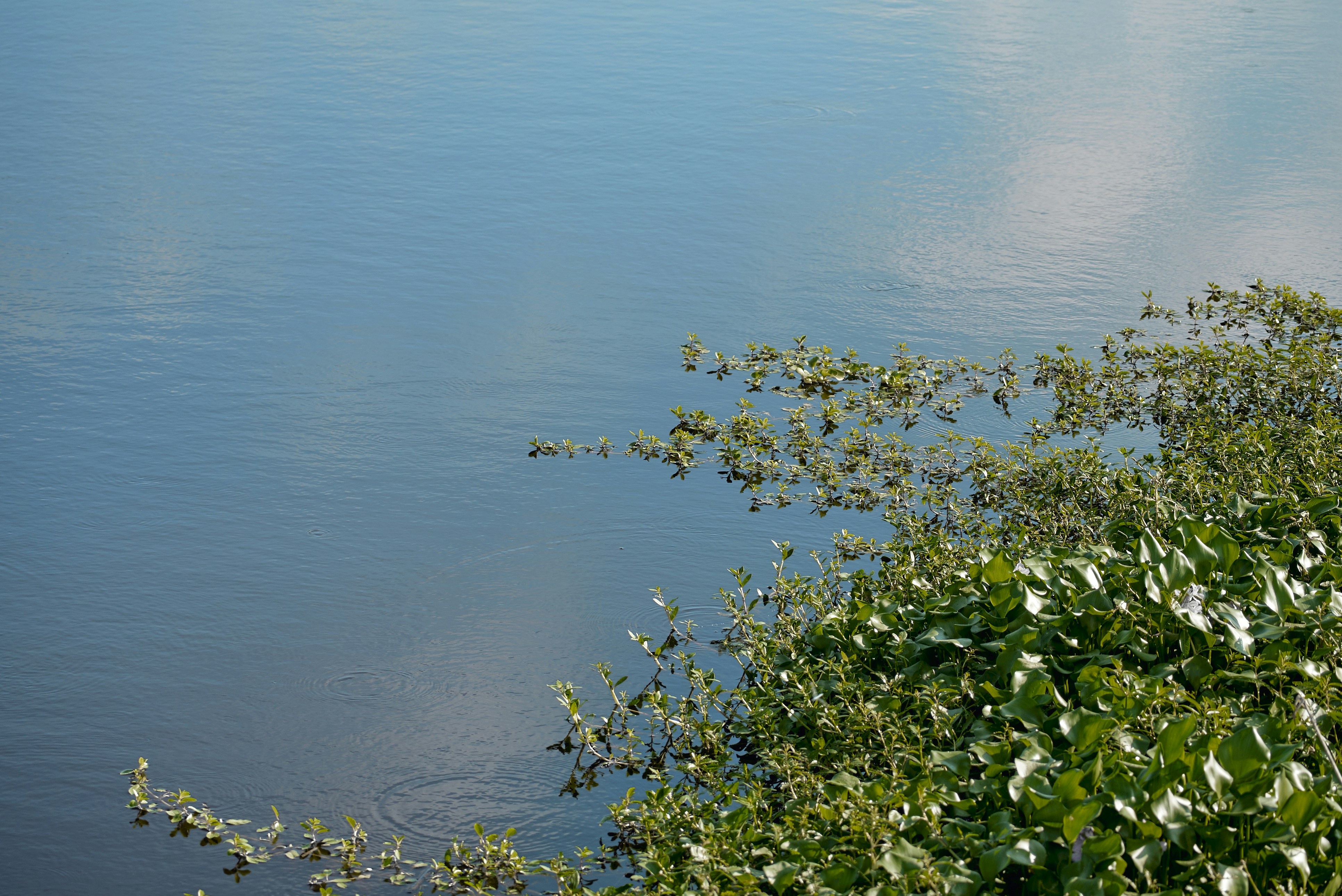 Photo by norajanelong