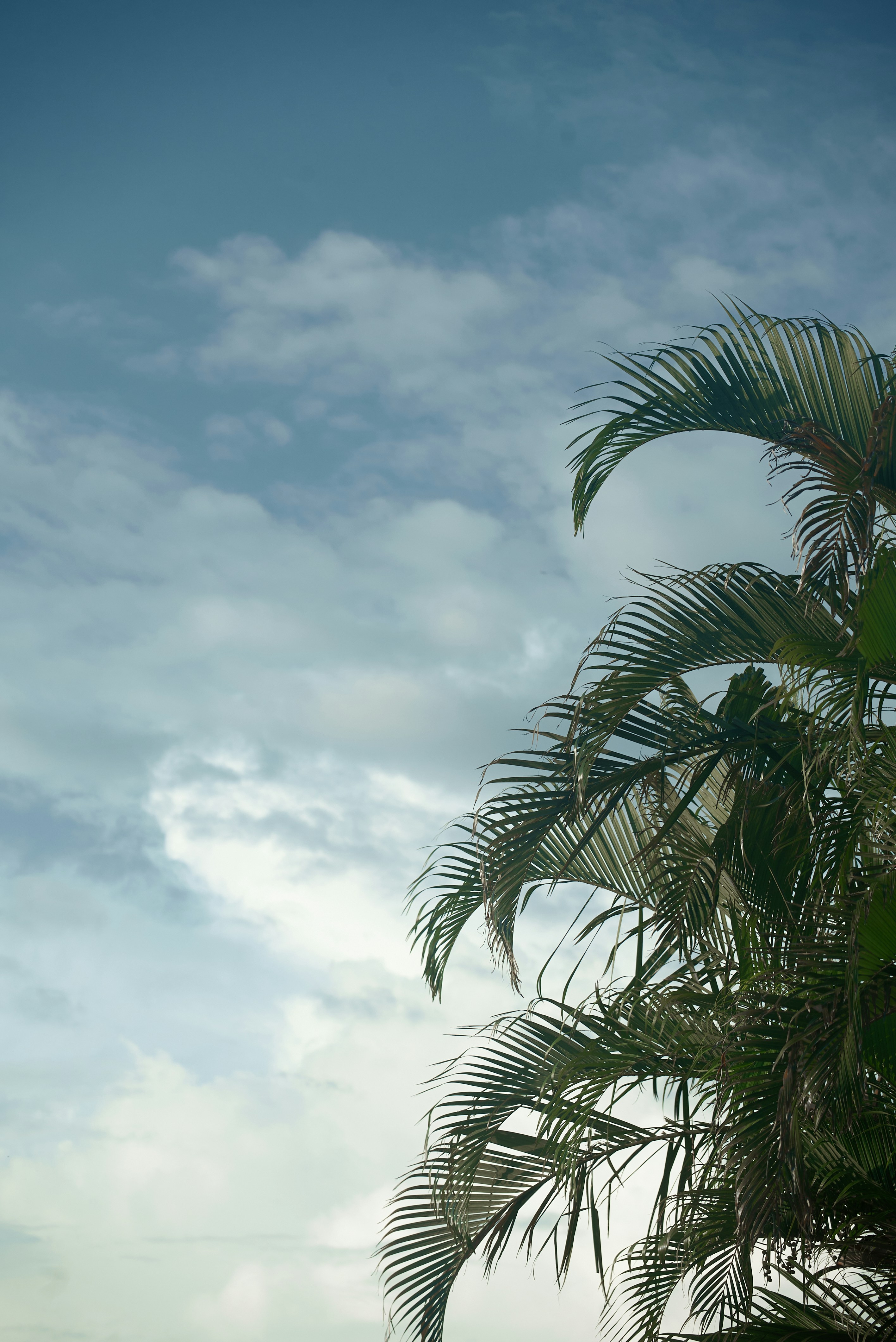 Photo by norajanelong