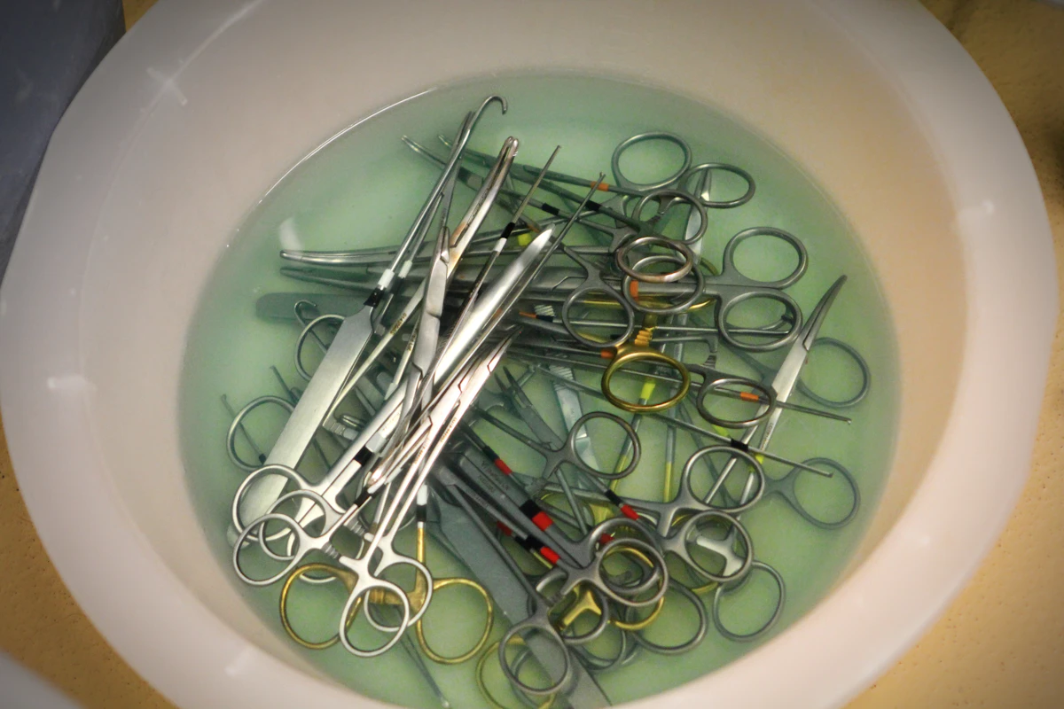 Cut 40% of New Vet Client Churn in 2026 (Step-by-Step)