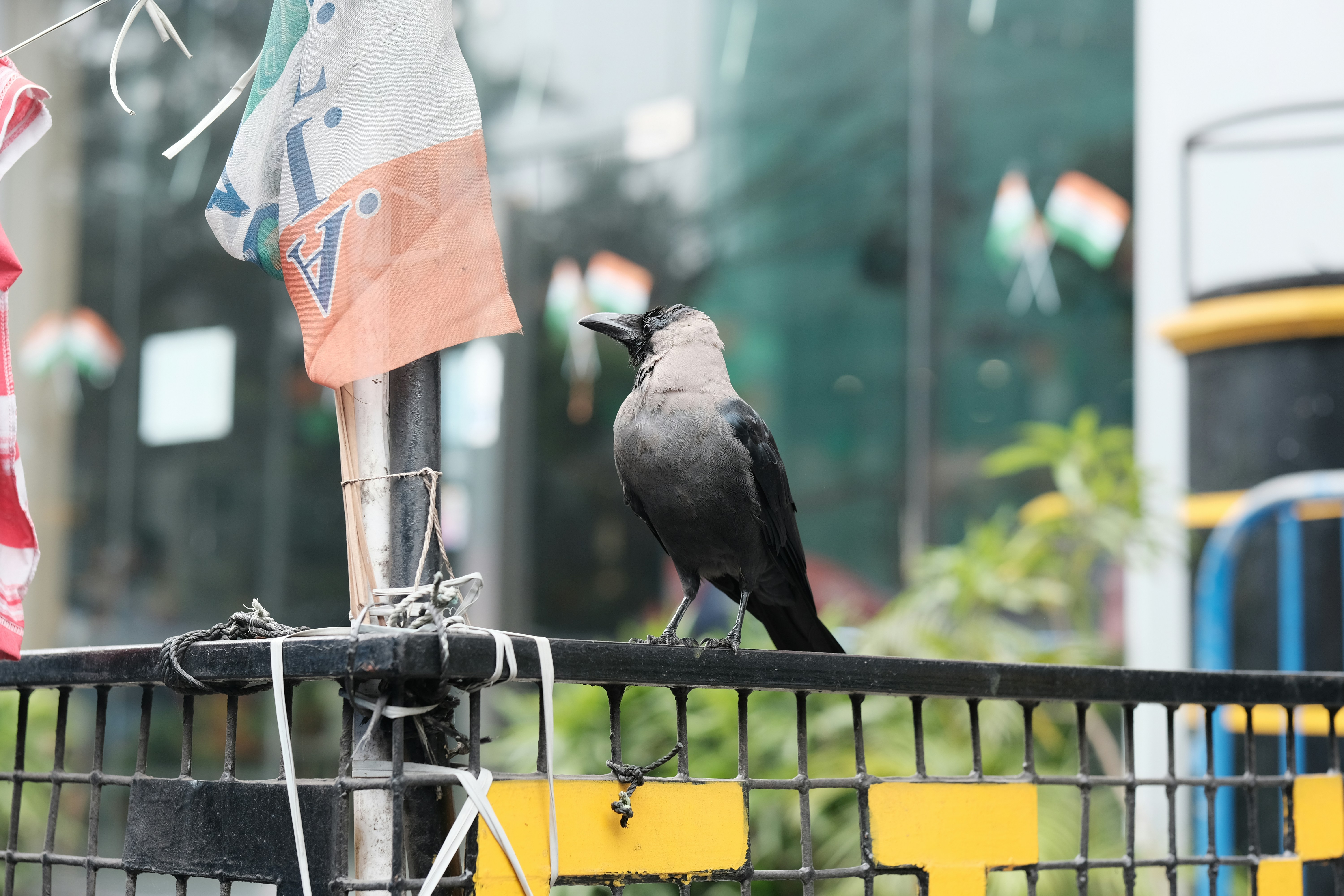 Decoding PM Modi's Speeches: Vision for a New India