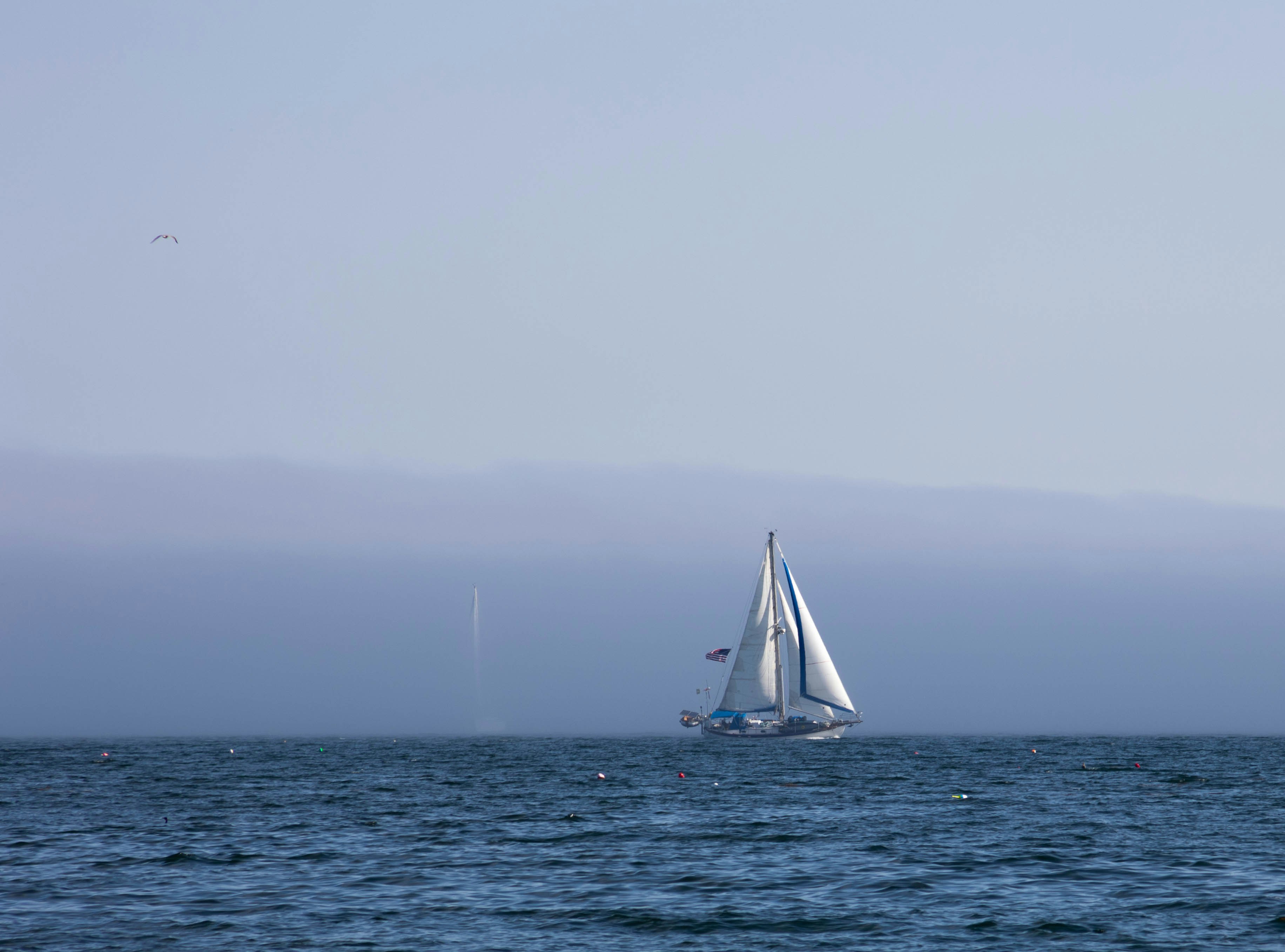 A sailboat in the middle of the ocean