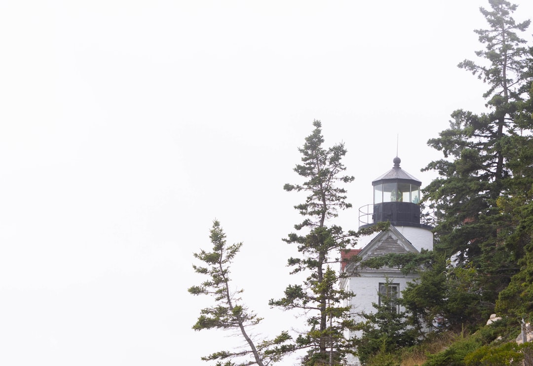 A lighthouse on top of a hill with trees around it,