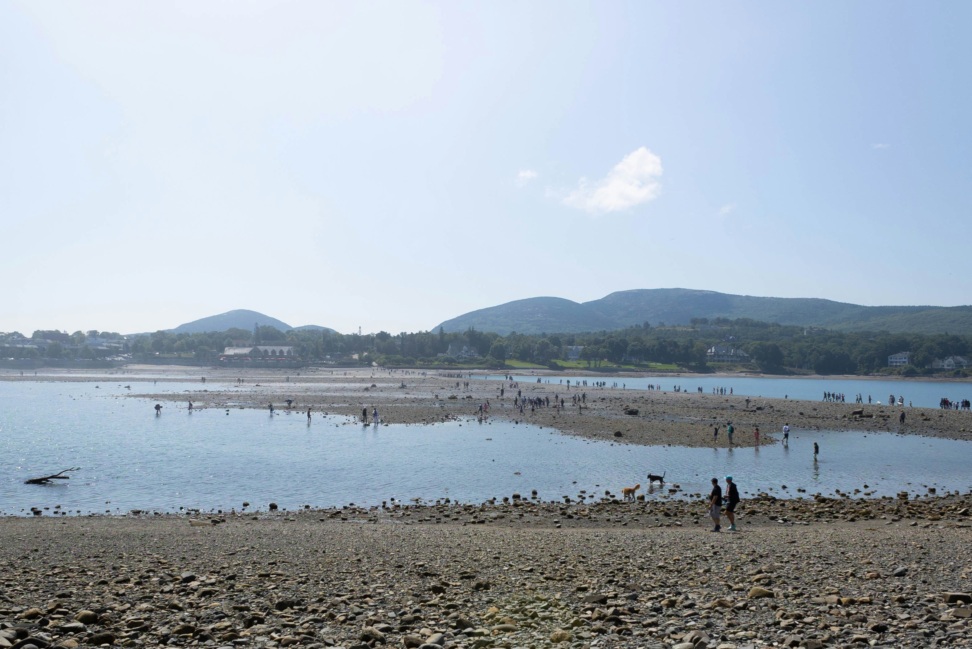 Photo by leslie_outofdoors