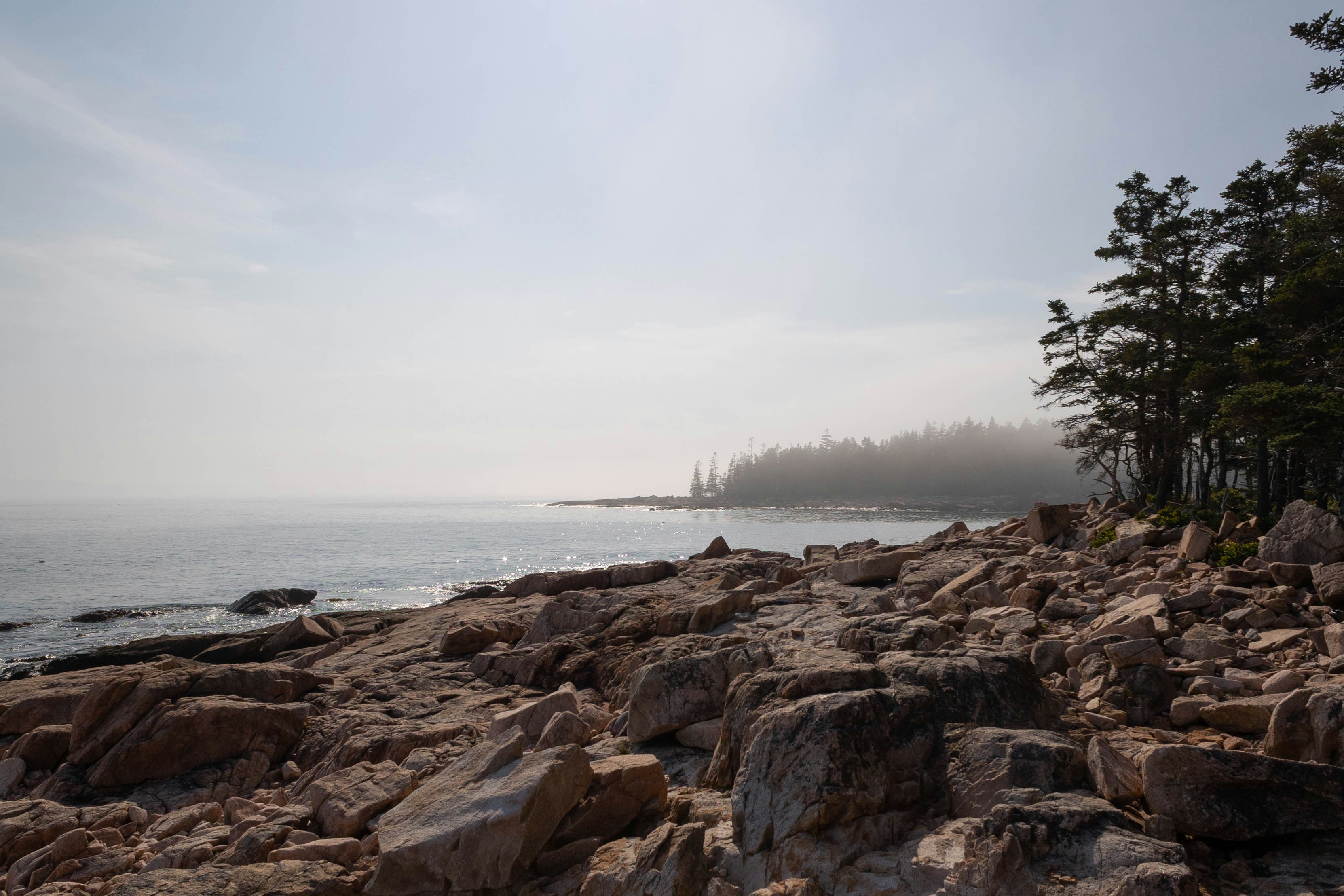 Photo by leslie_outofdoors