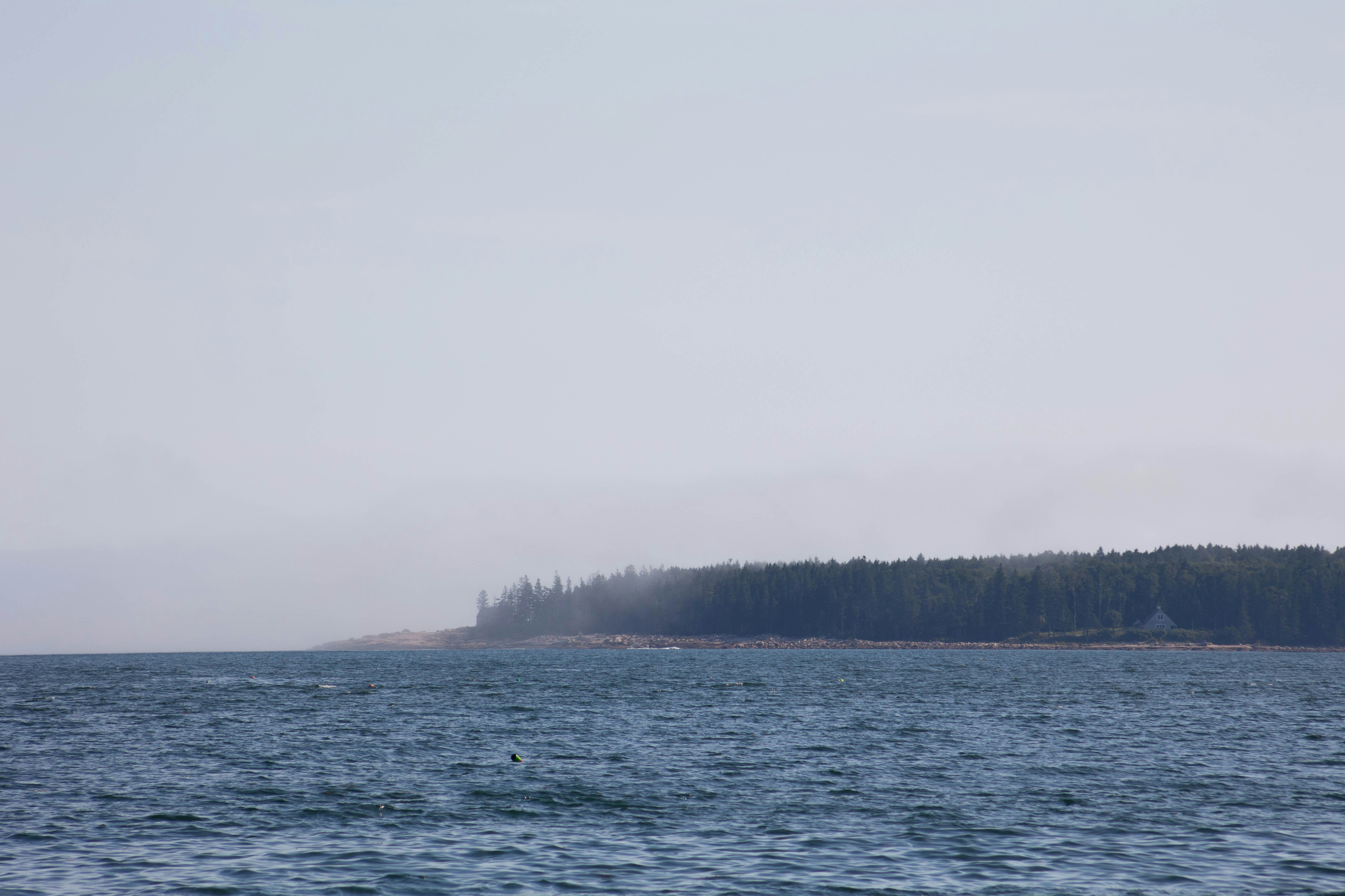 Photo by leslie_outofdoors