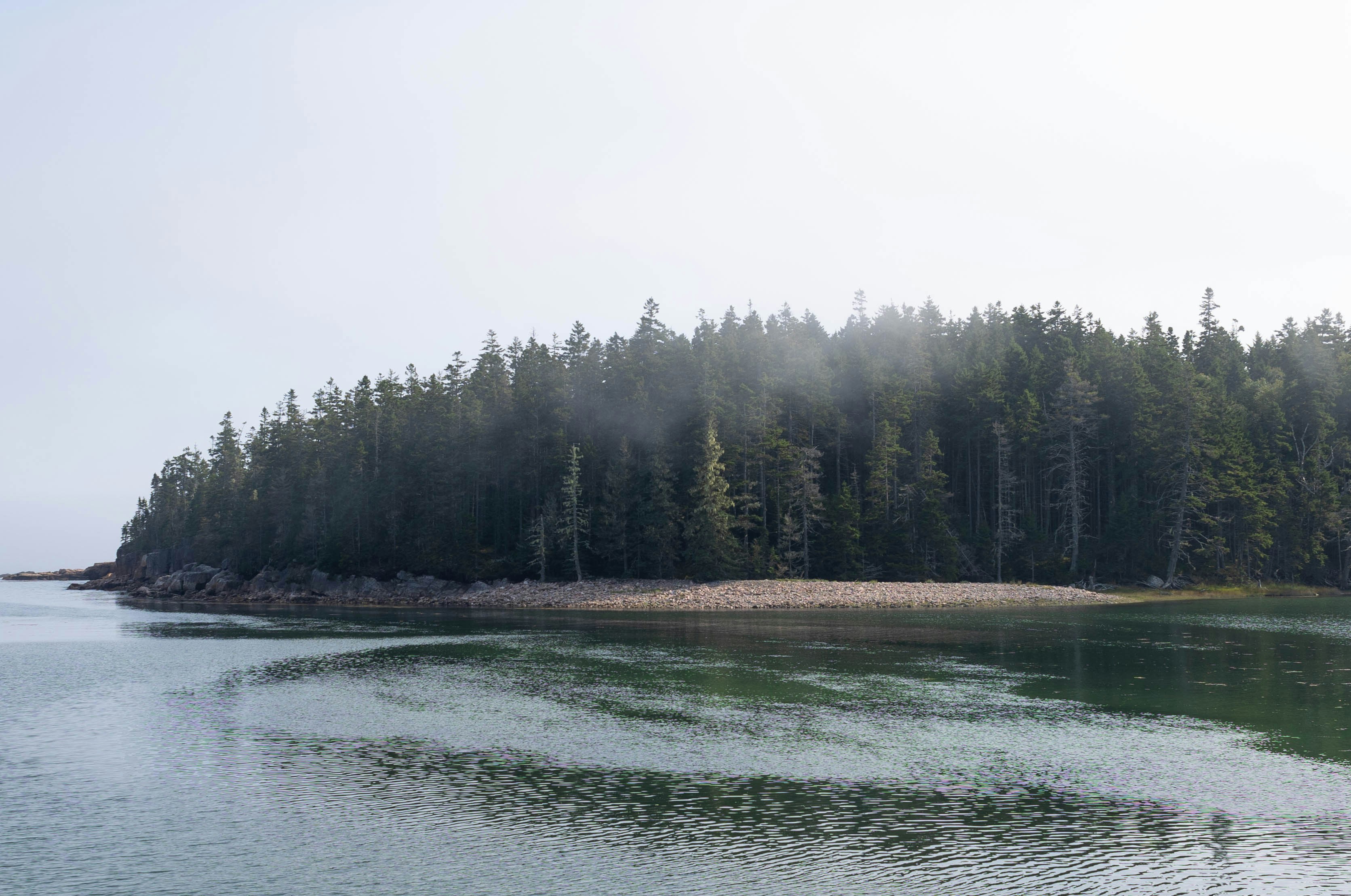 Photo by leslie_outofdoors