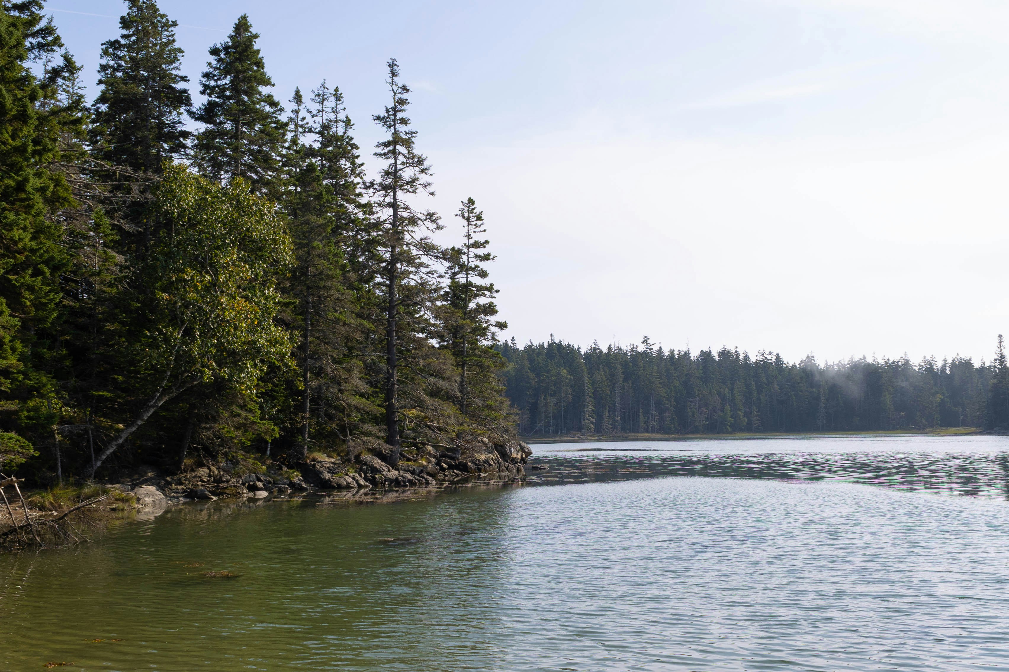 Photo by leslie_outofdoors