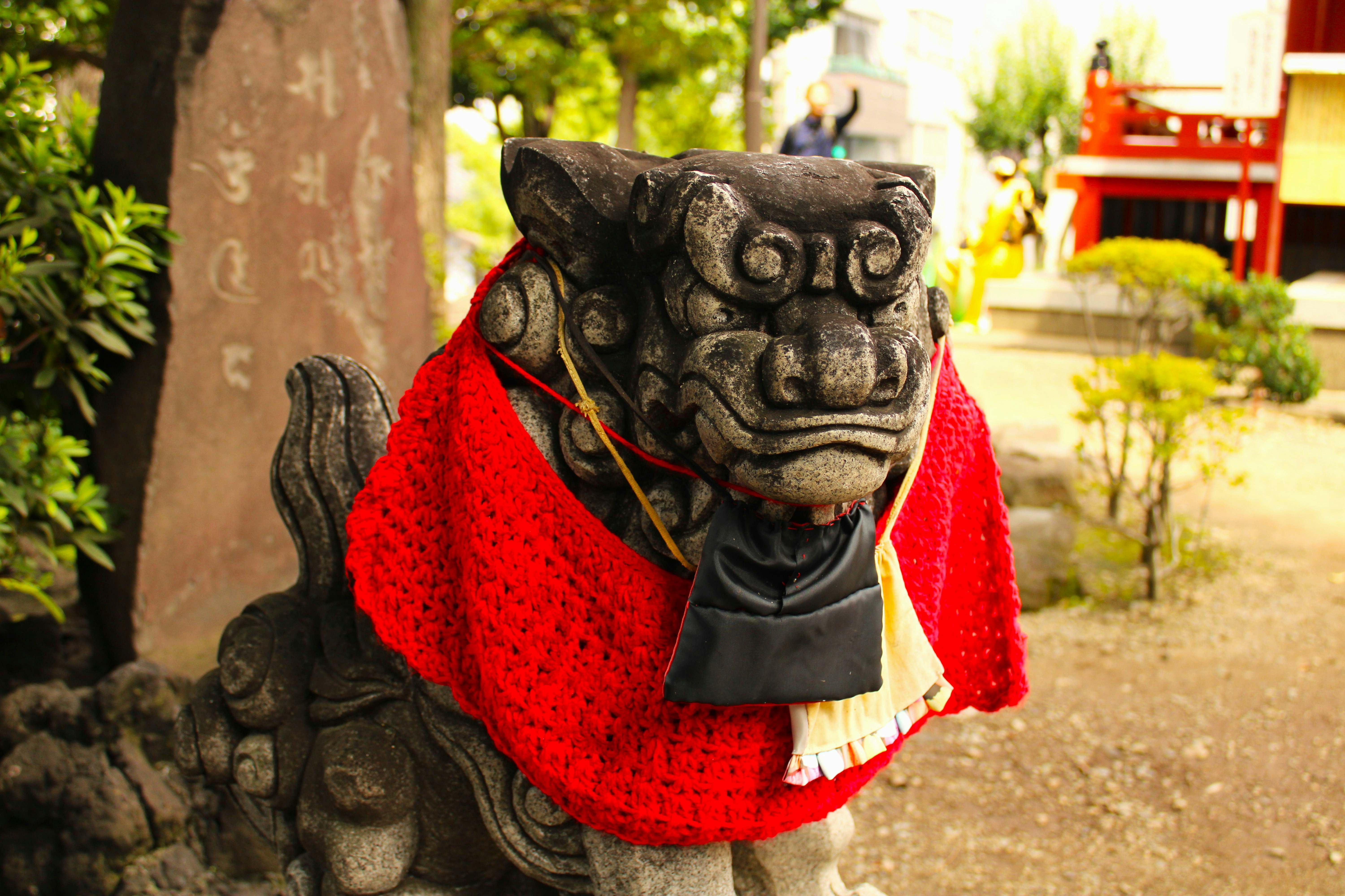 Photo by kruegerelliot