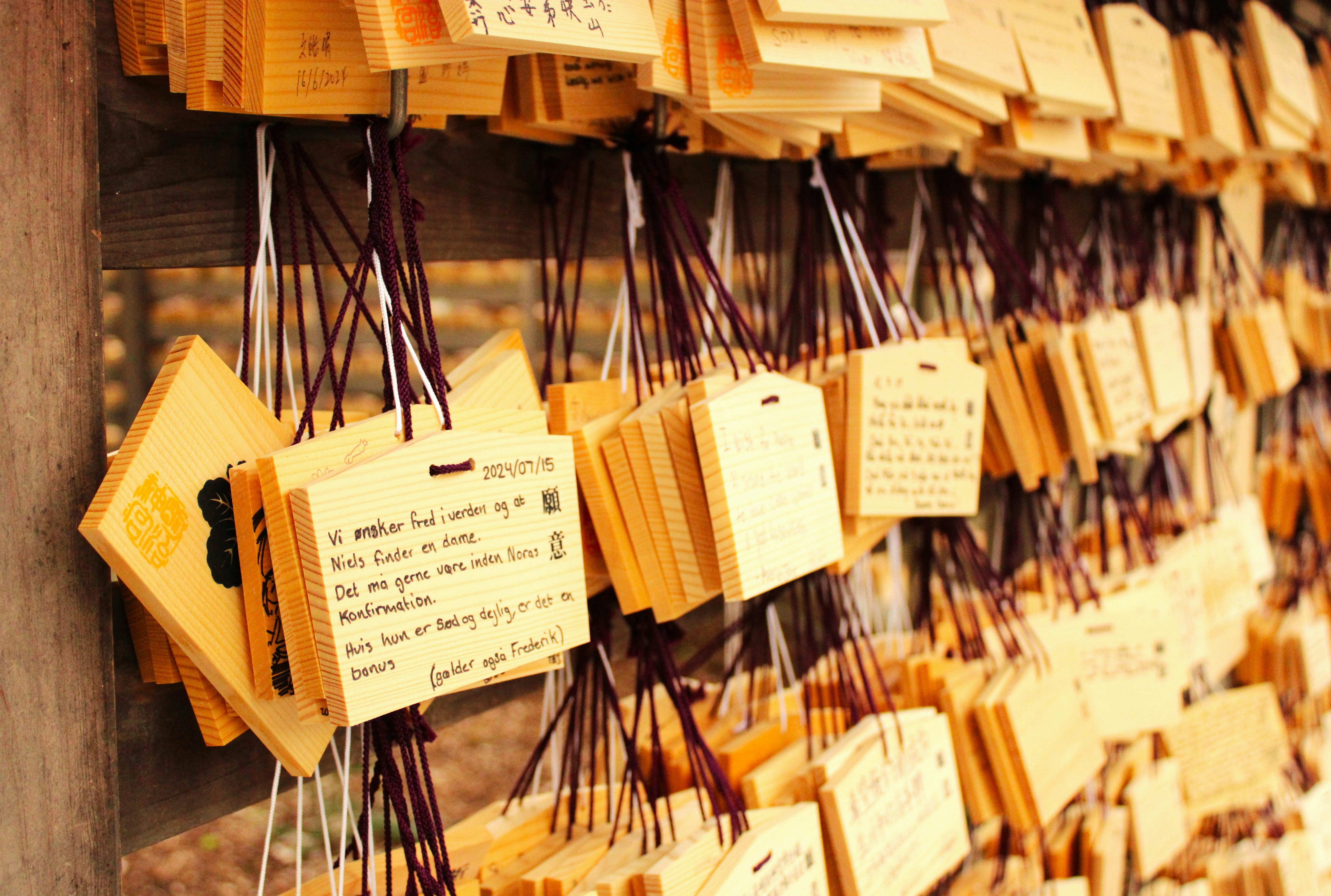 Photo by kruegerelliot