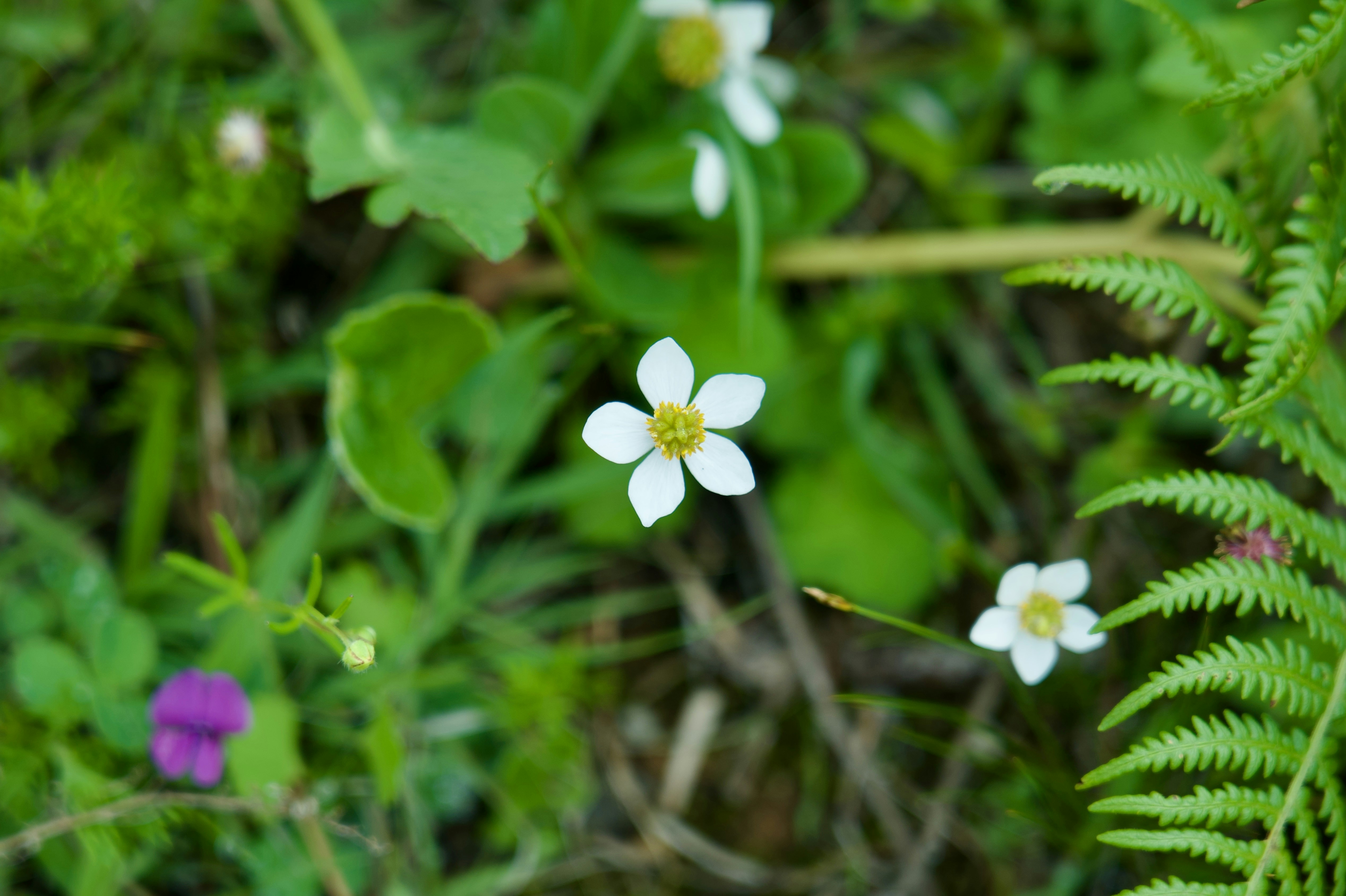 Photo by hitori_hikari