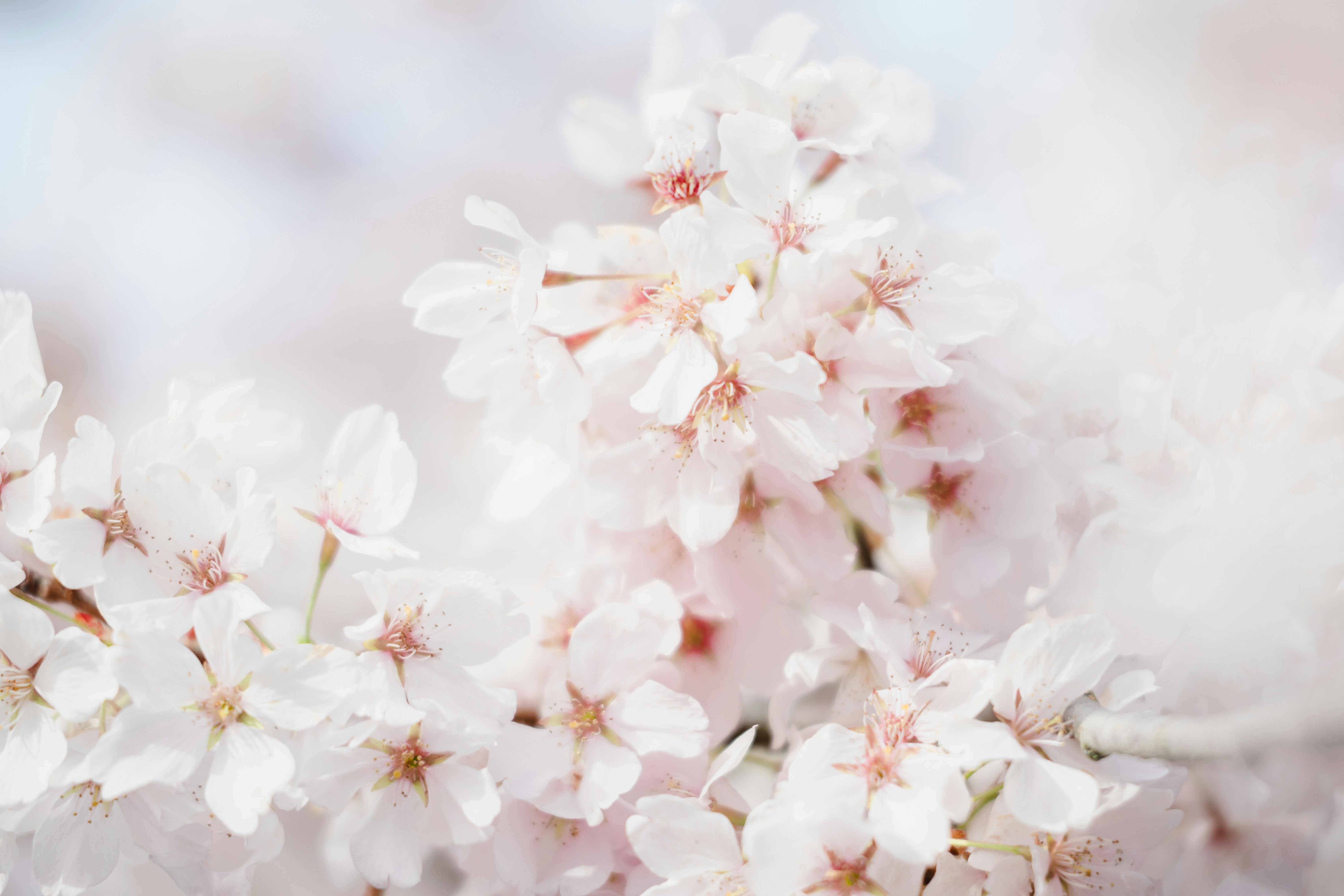 Photo by photoswithalexa