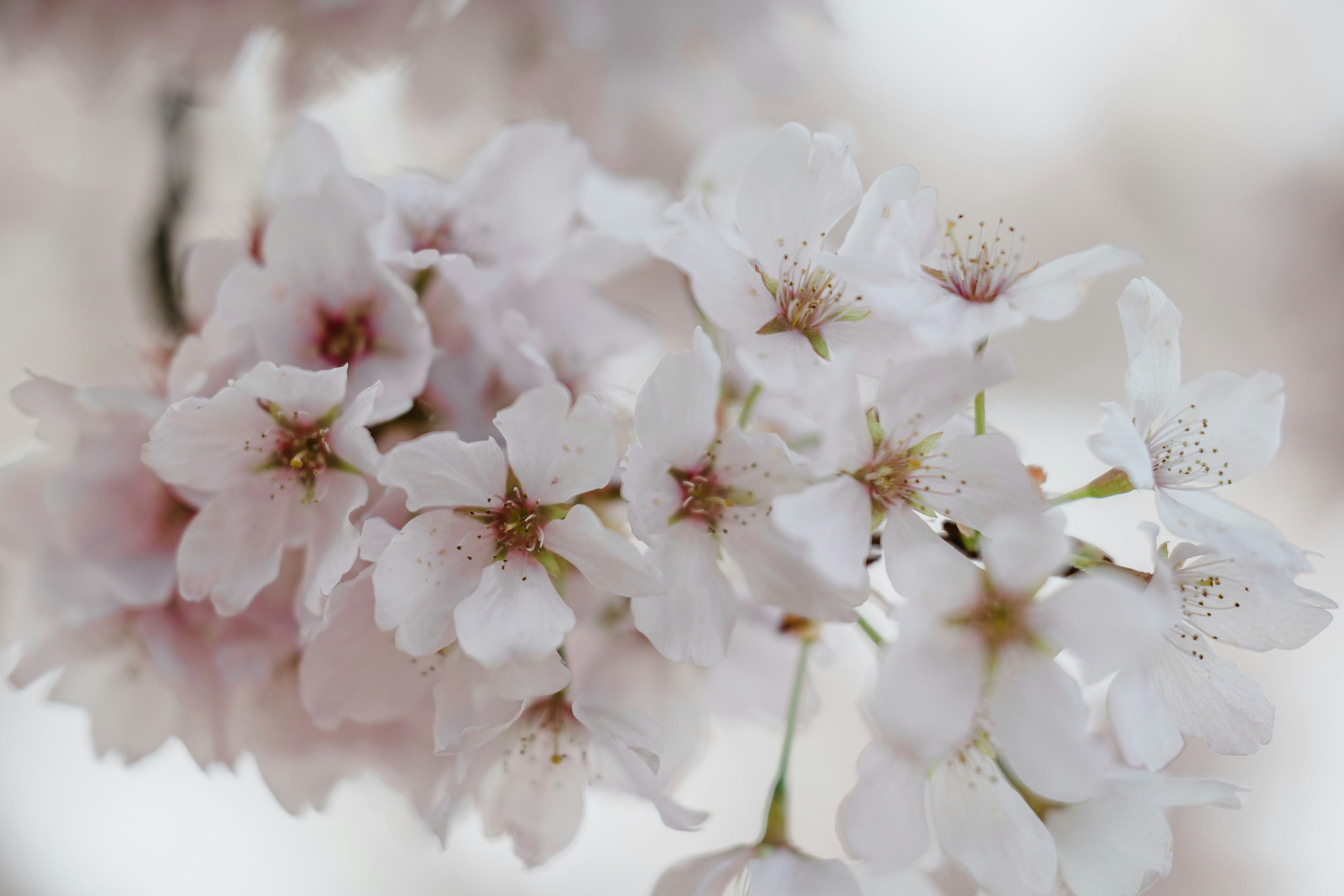 Photo by photoswithalexa