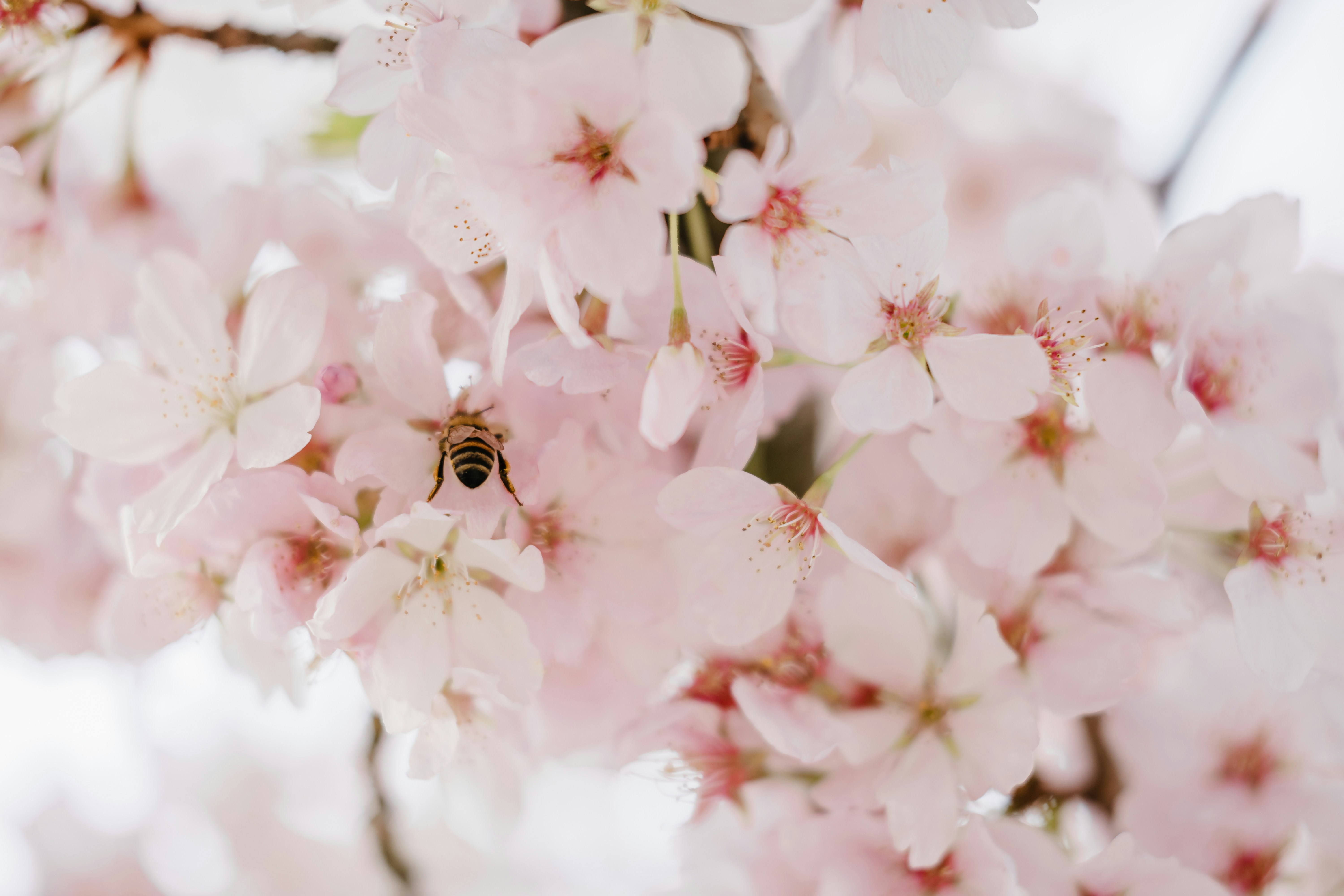 Photo by photoswithalexa